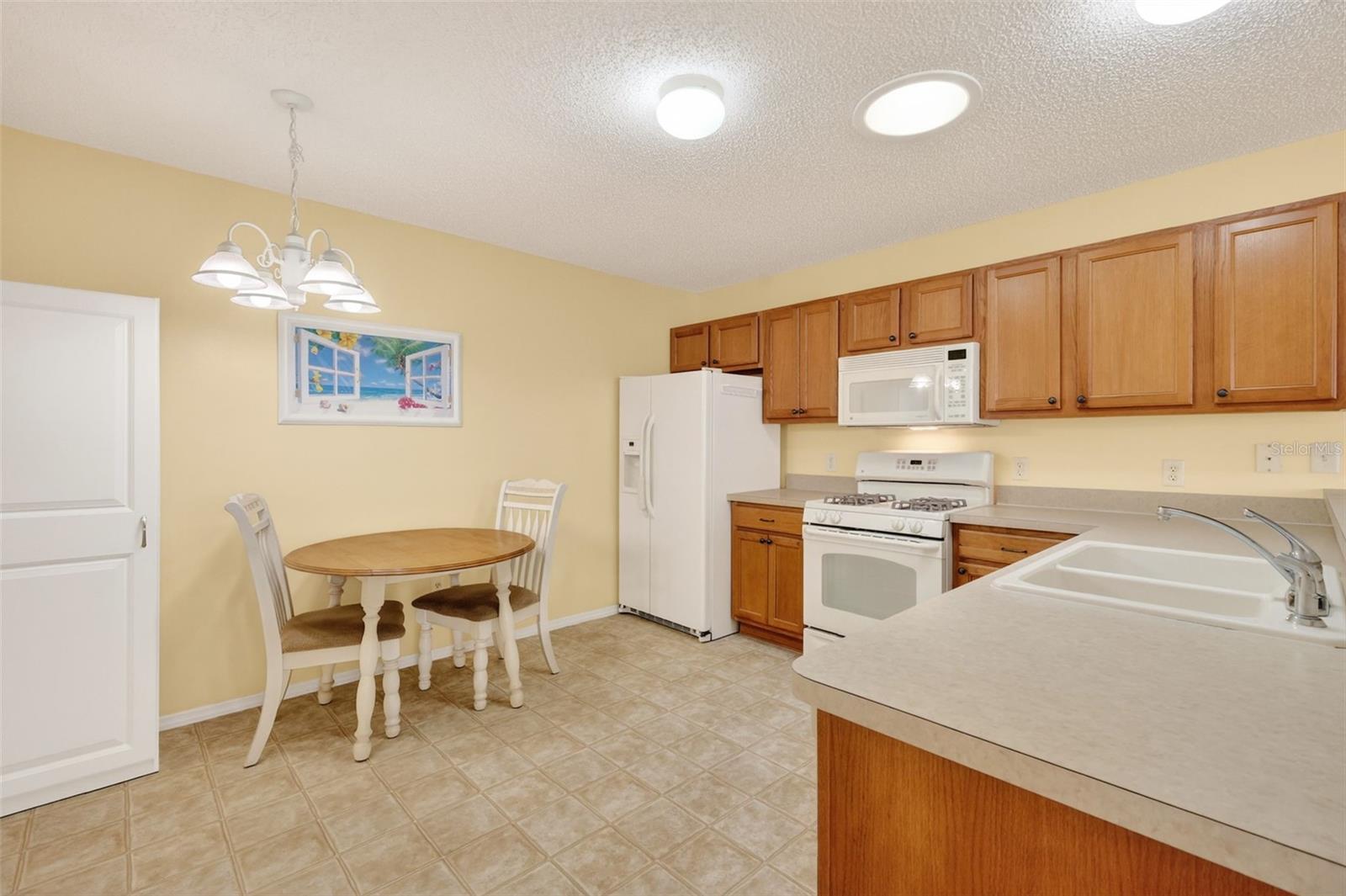 2376 BRANCHVILLE TER, THE VILLAGES, FL, 32162