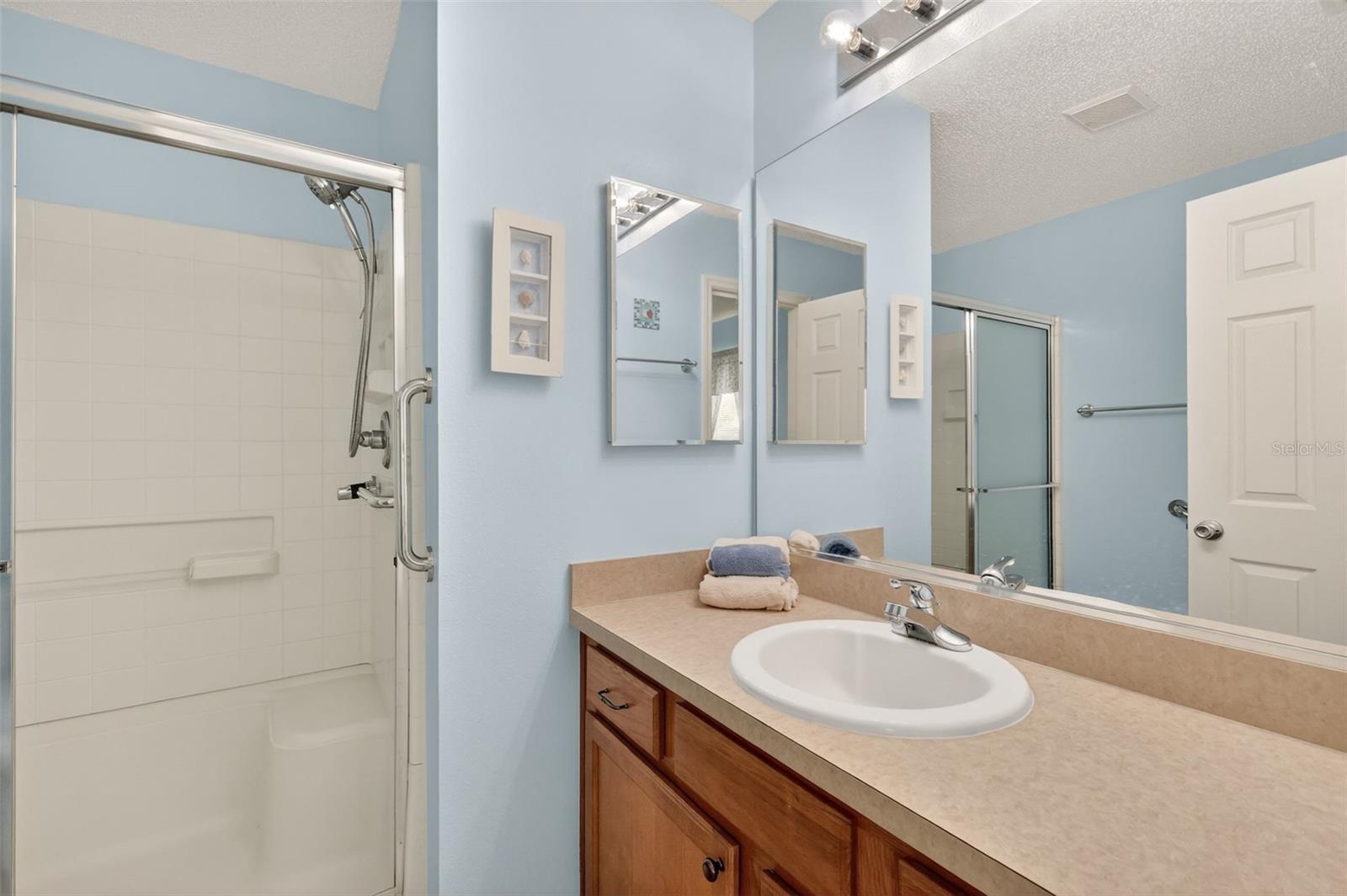 2376 BRANCHVILLE TER, THE VILLAGES, FL, 32162