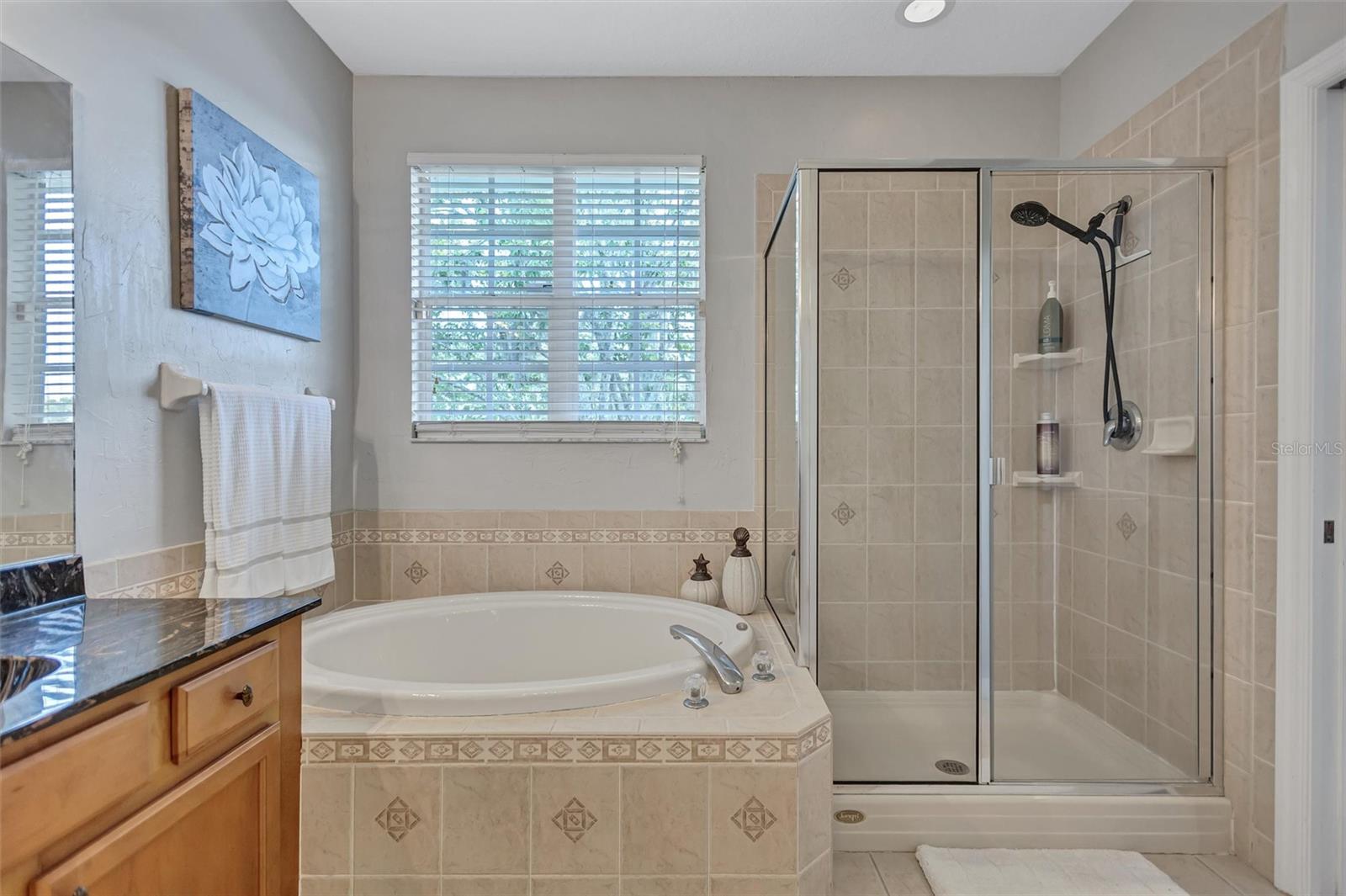 14520 MIRABELLE VISTA CIR, TAMPA, FL, 33626