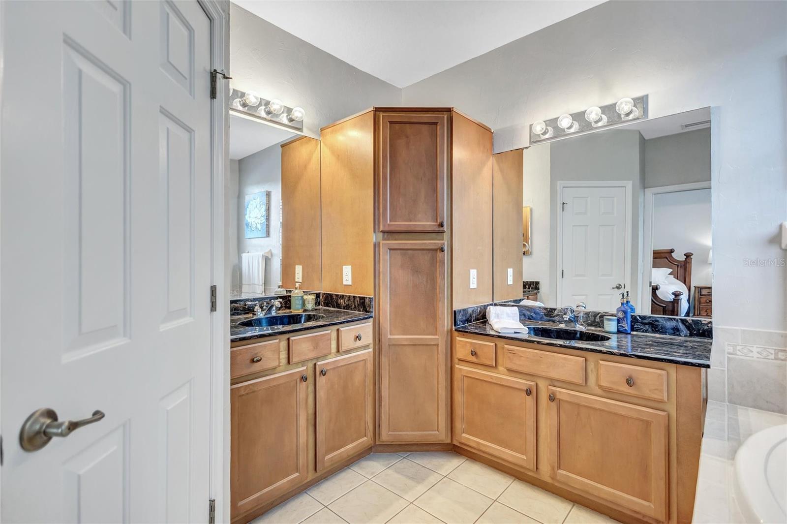 14520 MIRABELLE VISTA CIR, TAMPA, FL, 33626