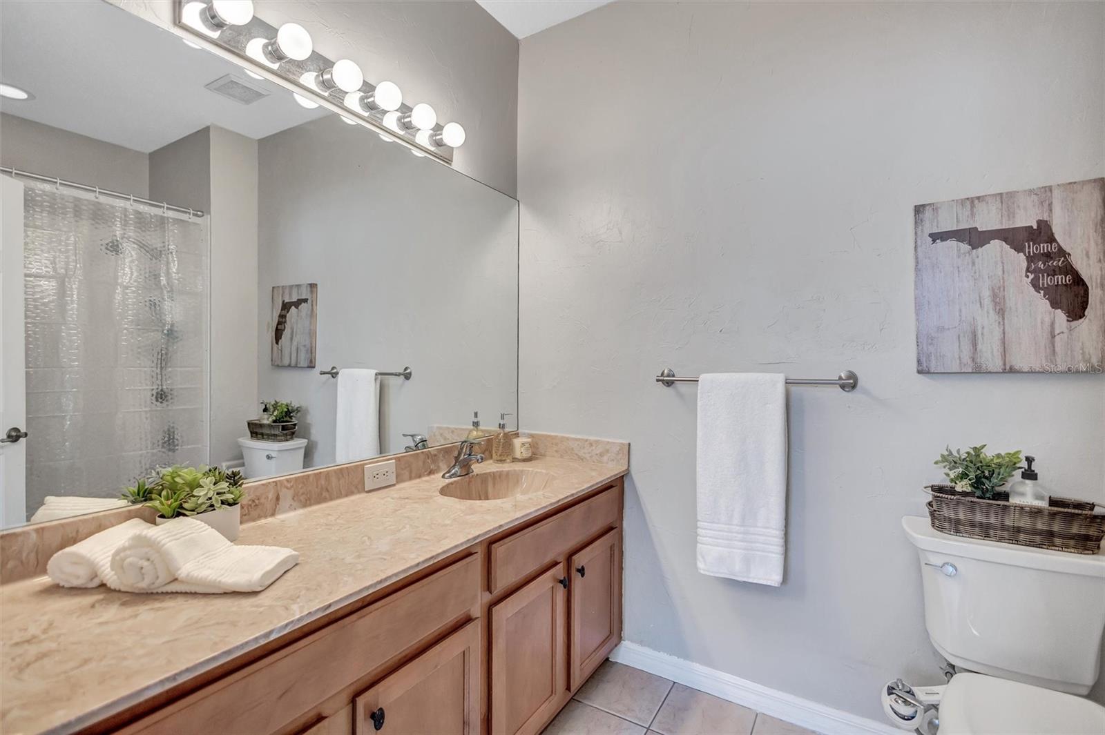 14520 MIRABELLE VISTA CIR, TAMPA, FL, 33626