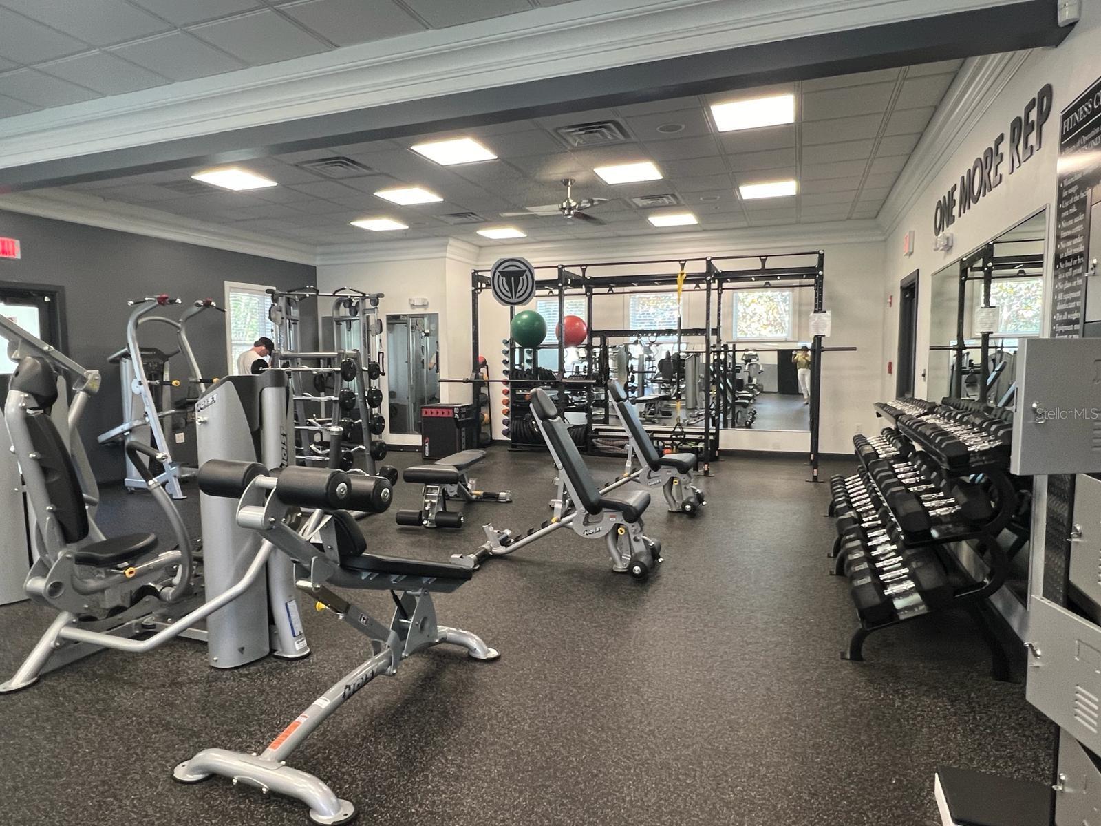 14520 MIRABELLE VISTA CIR, TAMPA, FL, 33626
