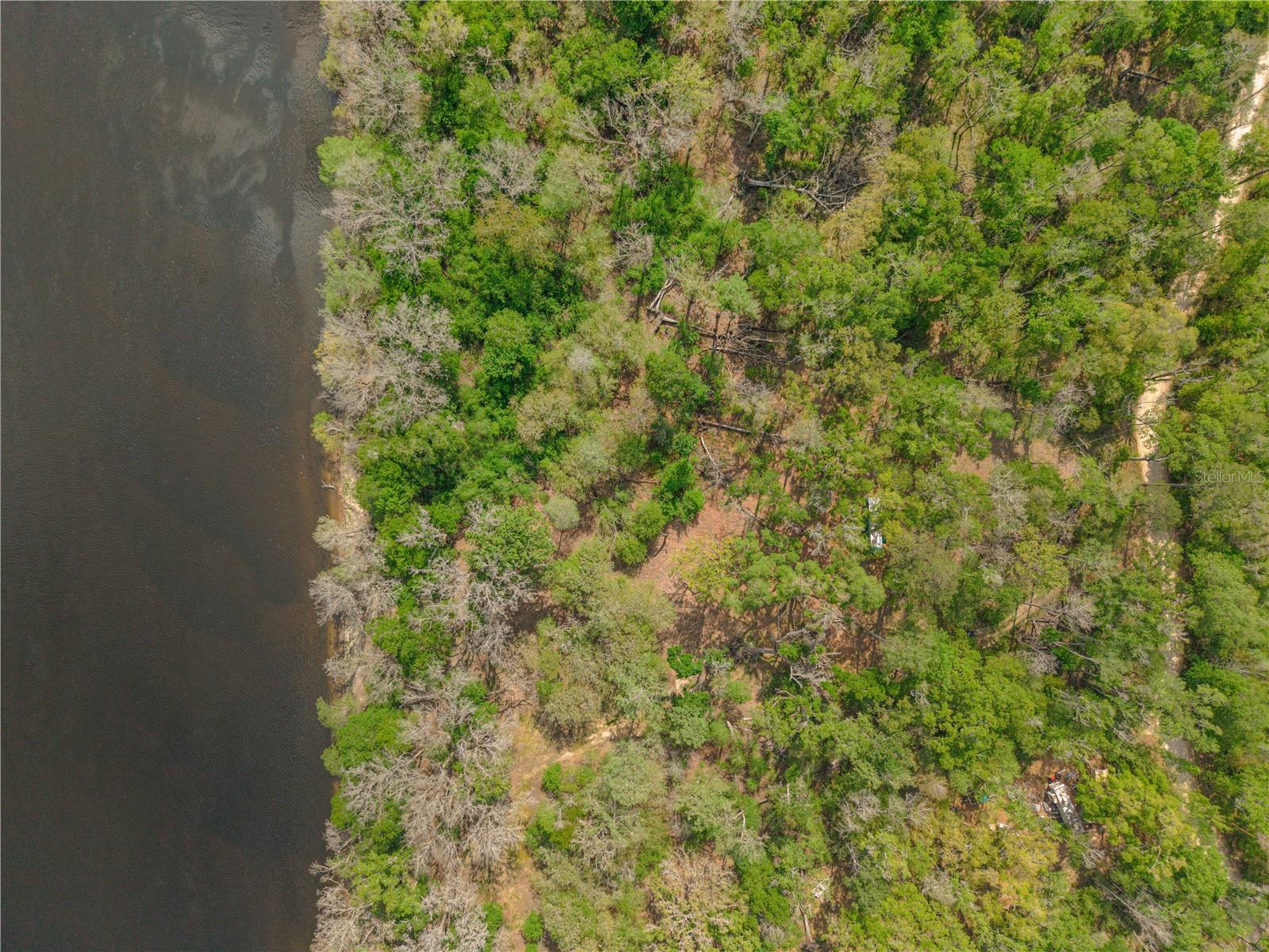 EDS ACRES, CROSS CITY, FL, 32628