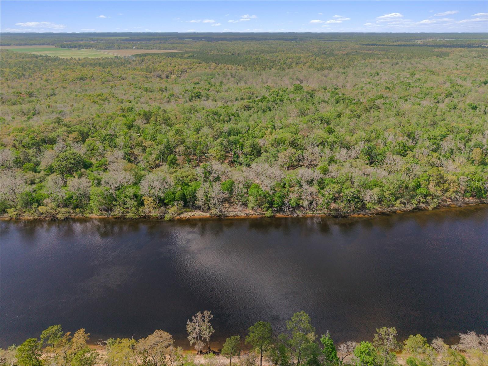 EDS ACRES, CROSS CITY, FL, 32628