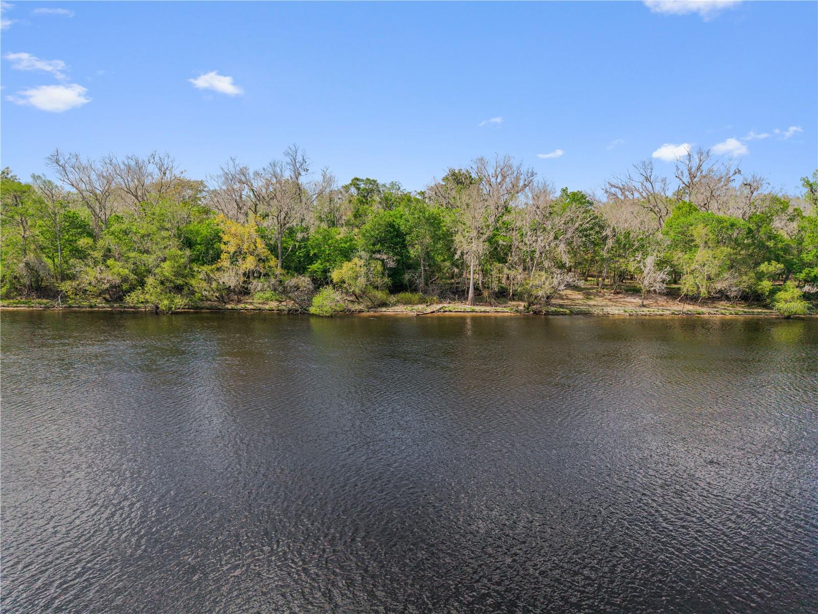 EDS ACRES, CROSS CITY, FL, 32628