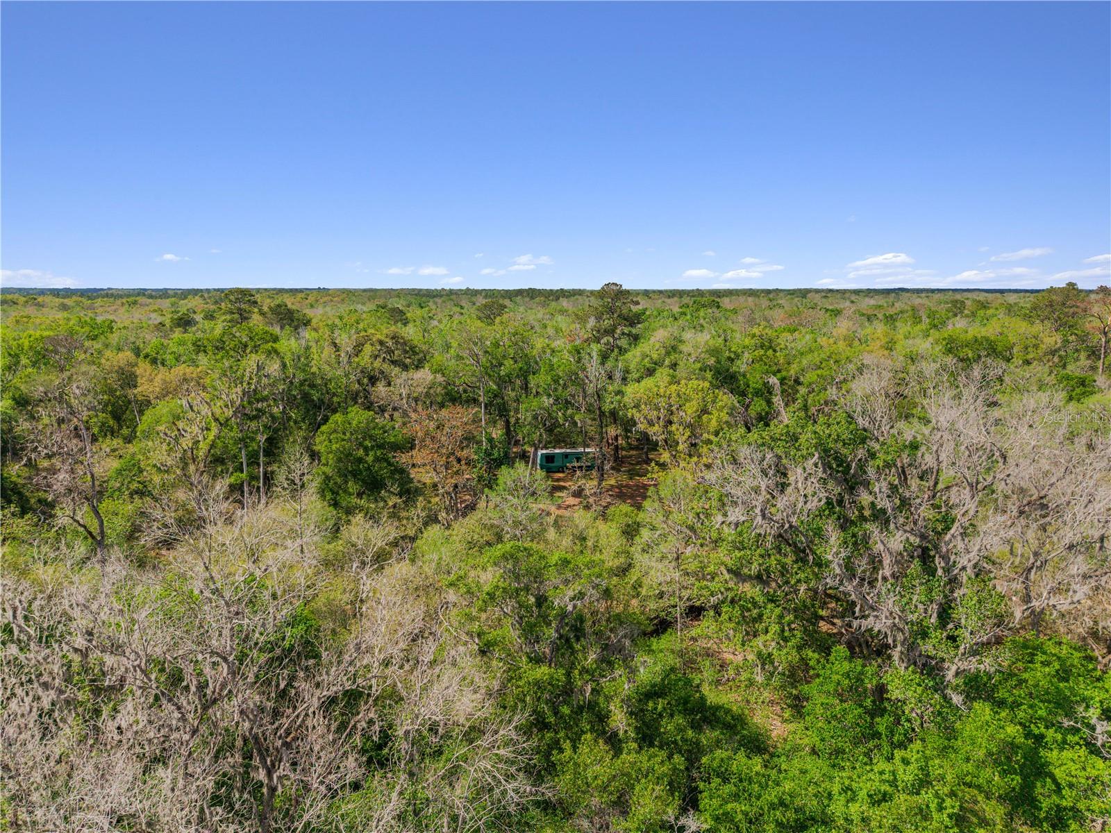 EDS ACRES, CROSS CITY, FL, 32628