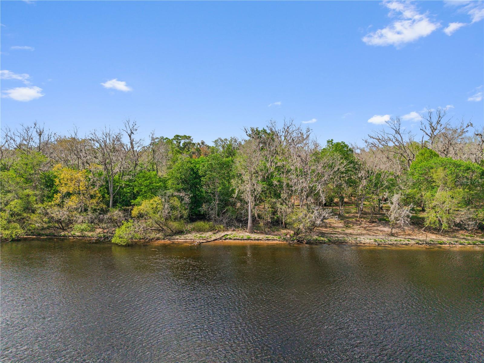 EDS ACRES, CROSS CITY, FL, 32628