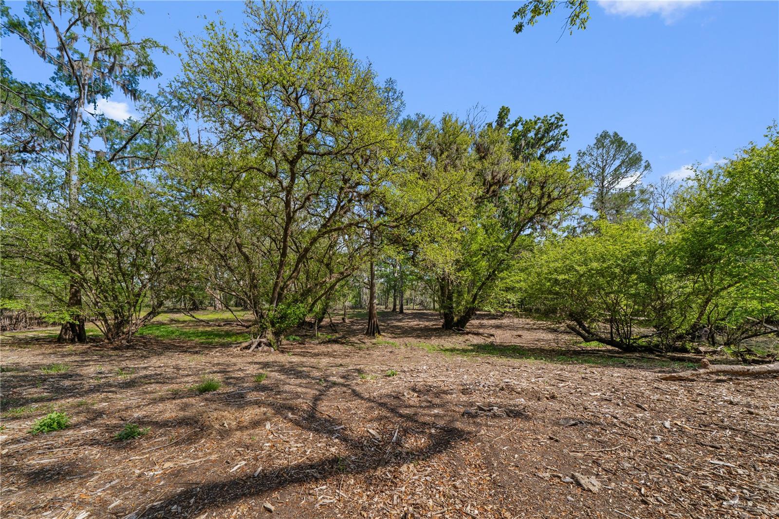 EDS ACRES, CROSS CITY, FL, 32628