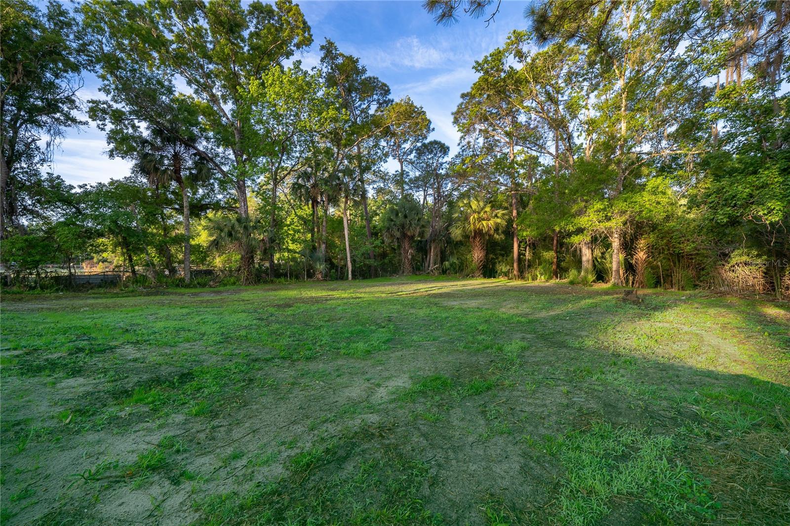 1116 CUPID AVE, CHRISTMAS, FL, 32709