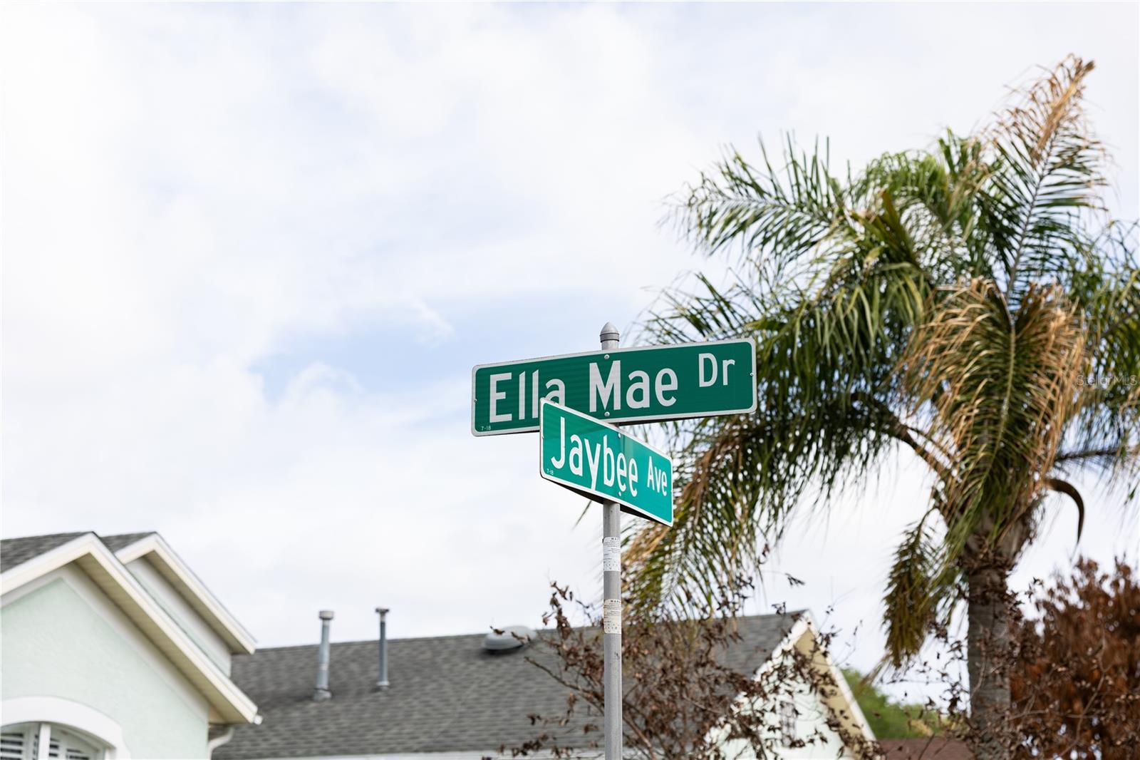 704 JAYBEE AVE, DAVENPORT, FL, 33897