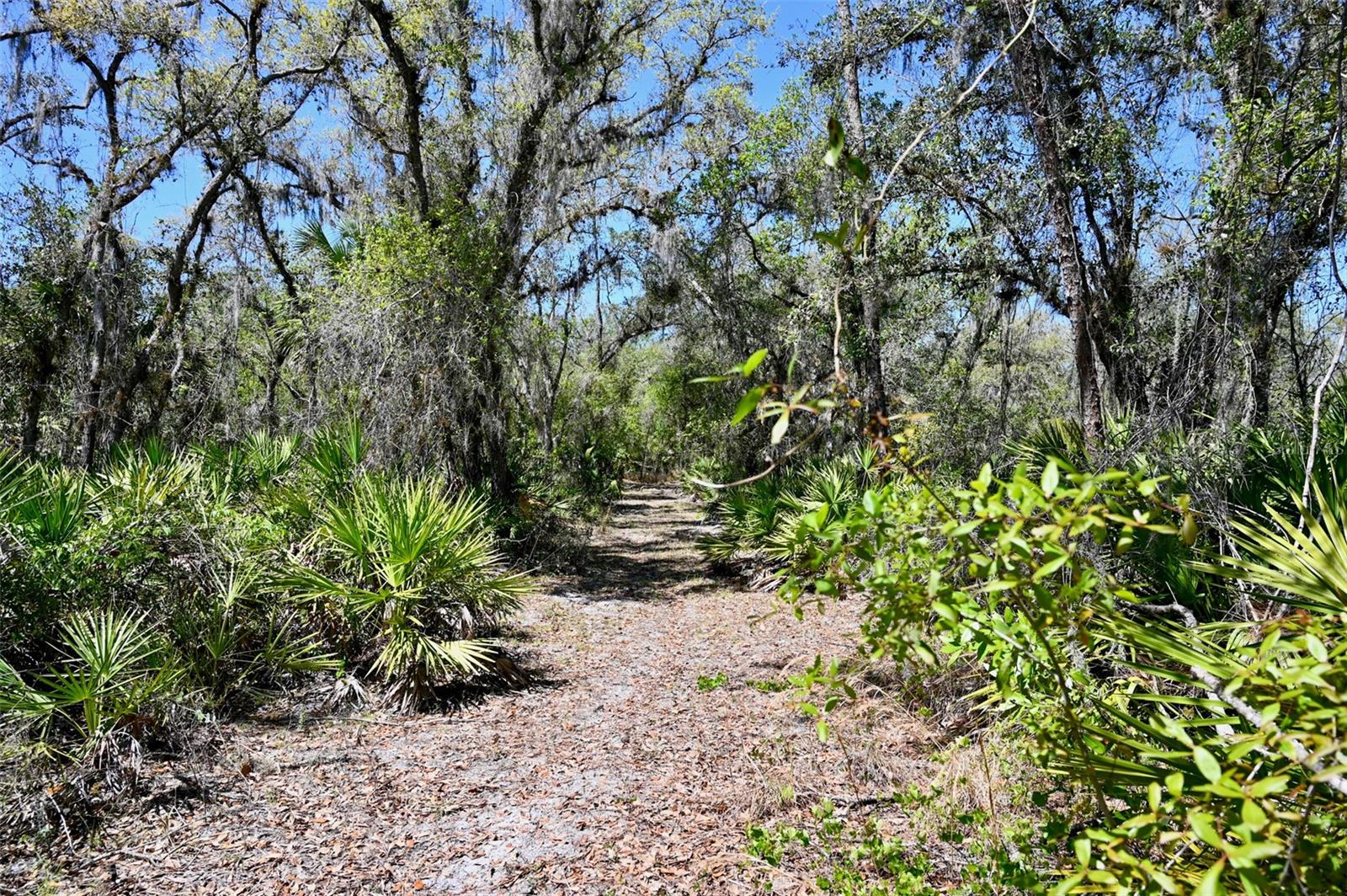 3832 SW WILDCAT RUN RD, ARCADIA, FL, 34266