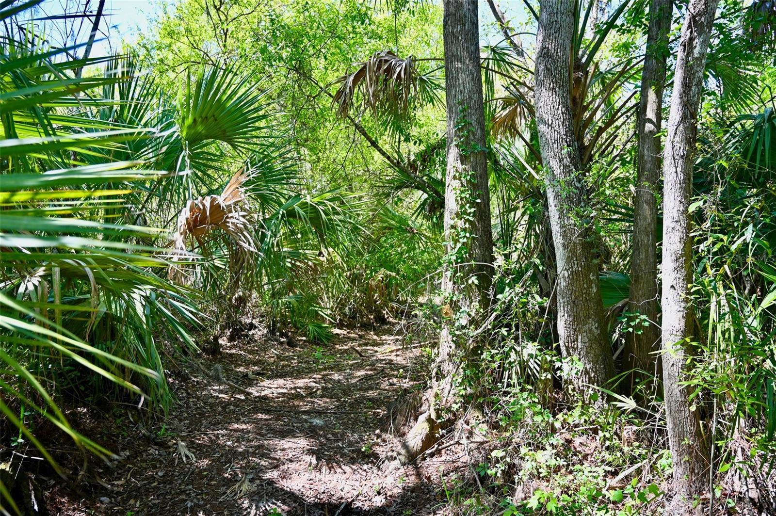 3832 SW WILDCAT RUN RD, ARCADIA, FL, 34266