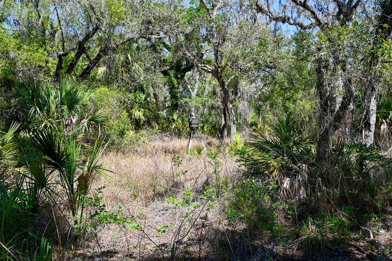 3832 SW WILDCAT RUN RD, ARCADIA, FL, 34266