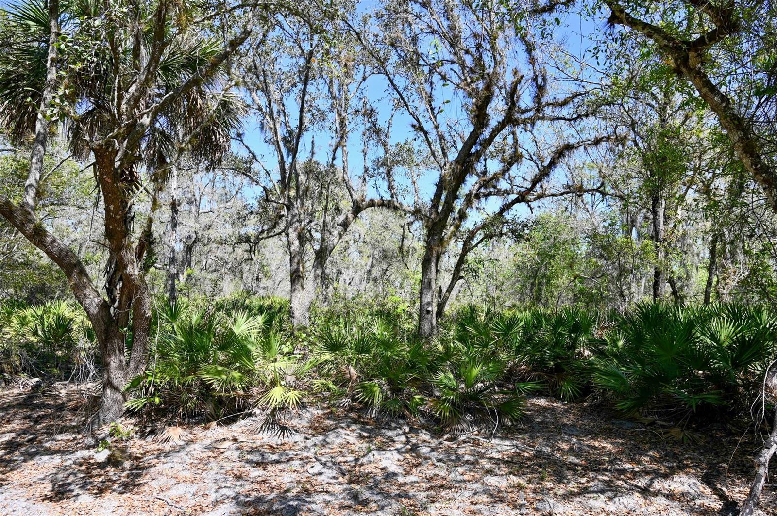 3832 SW WILDCAT RUN RD, ARCADIA, FL, 34266