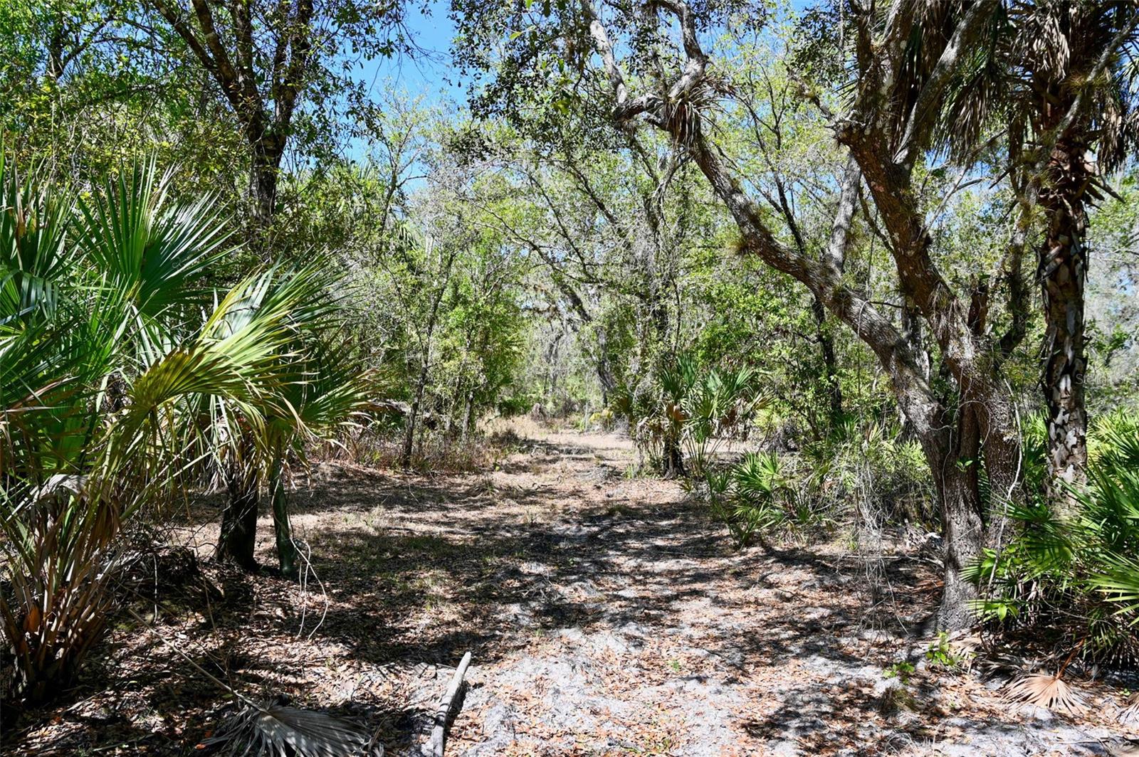 3832 SW WILDCAT RUN RD, ARCADIA, FL, 34266