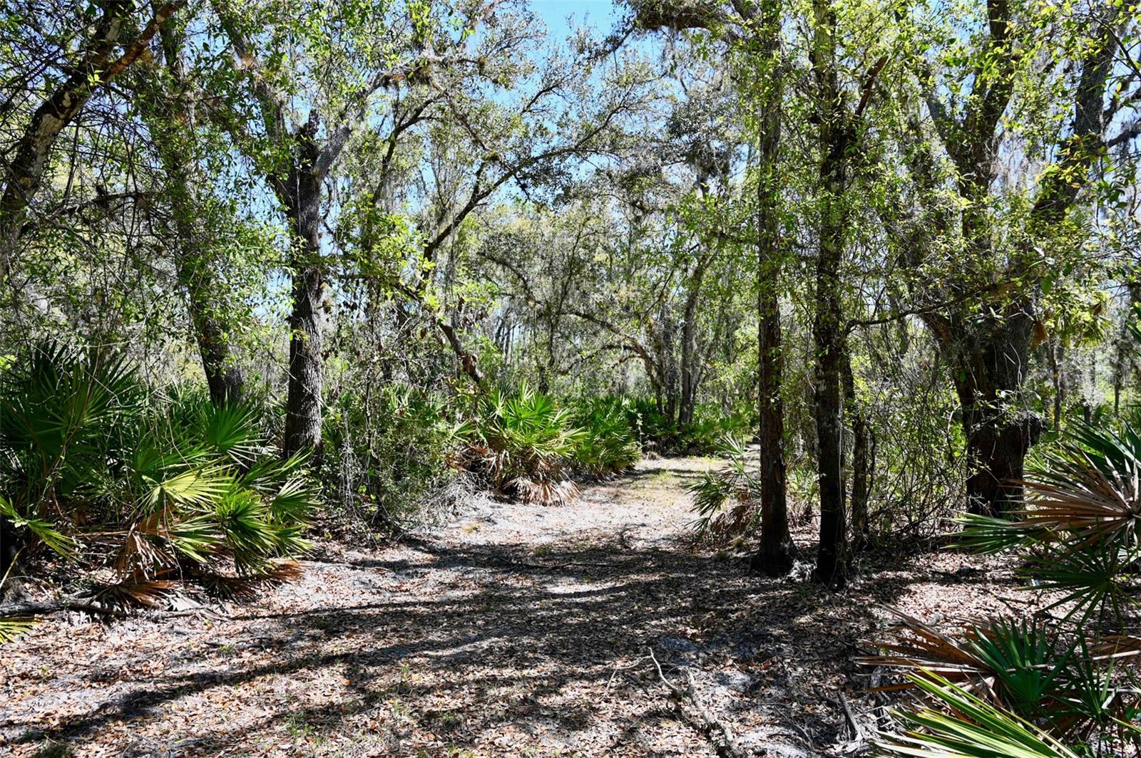 3832 SW WILDCAT RUN RD, ARCADIA, FL, 34266