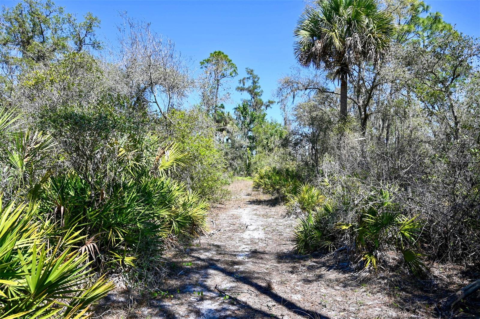 3832 SW WILDCAT RUN RD, ARCADIA, FL, 34266