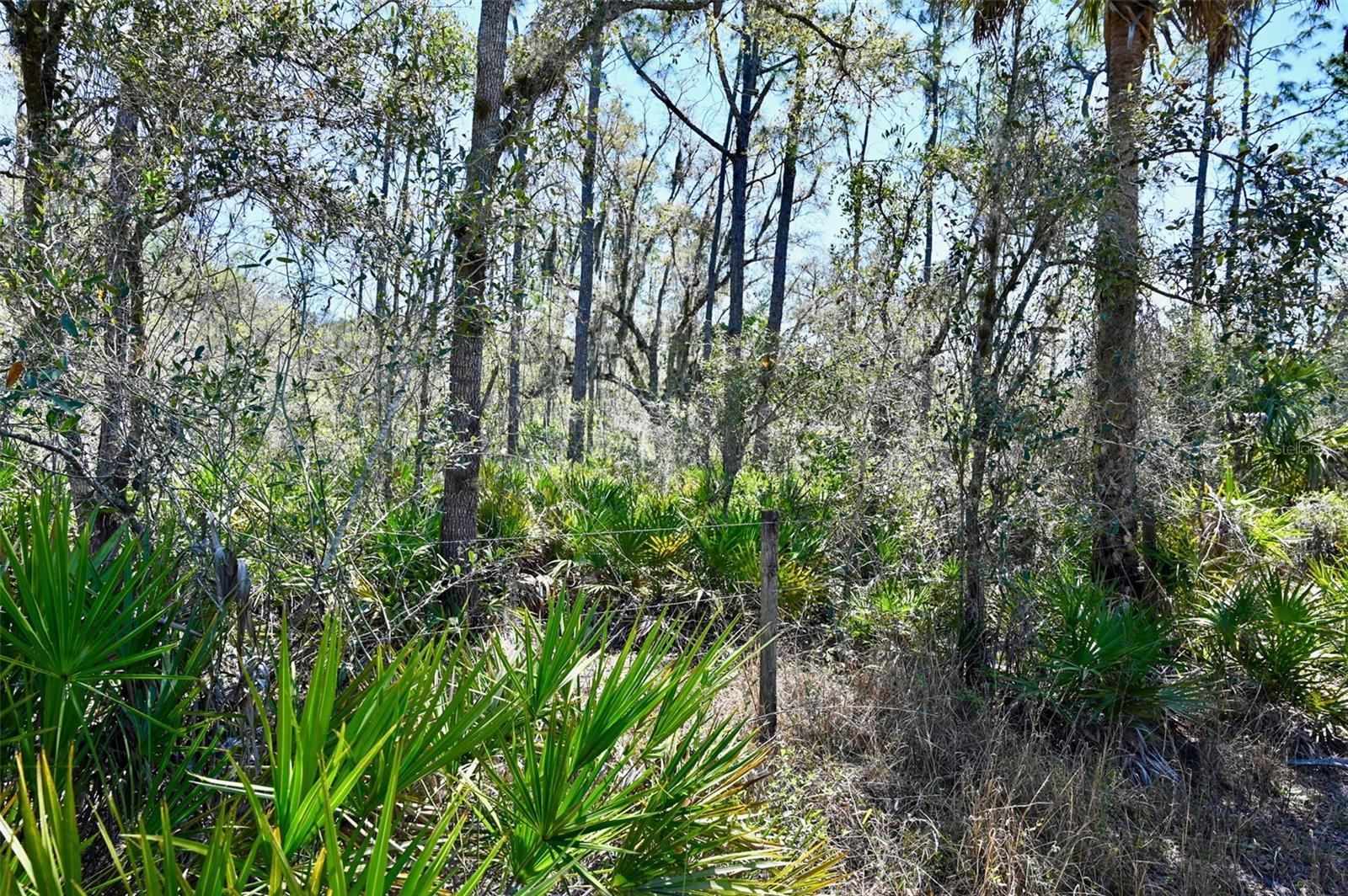3832 SW WILDCAT RUN RD, ARCADIA, FL, 34266