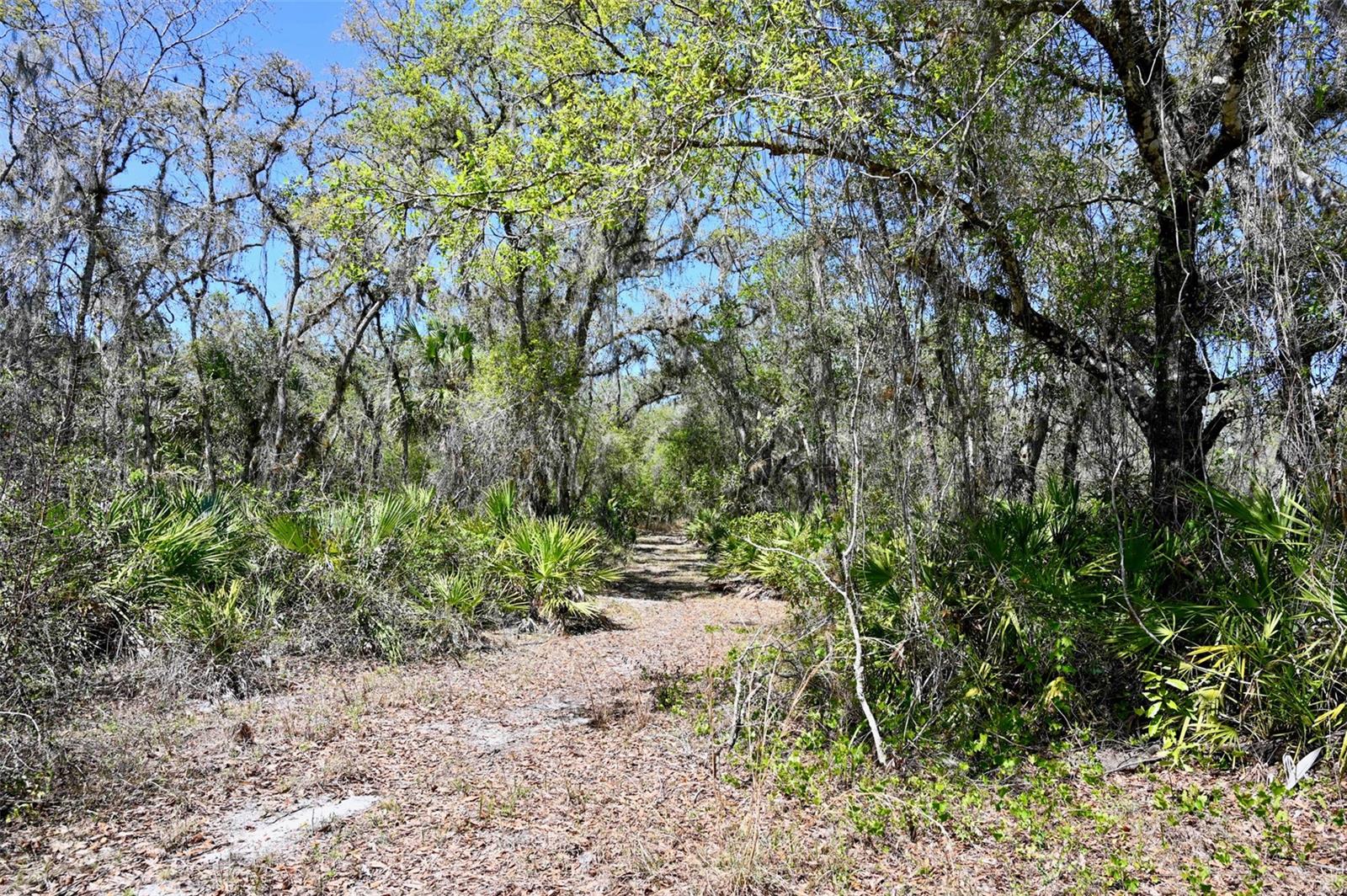 3832 SW WILDCAT RUN RD, ARCADIA, FL, 34266