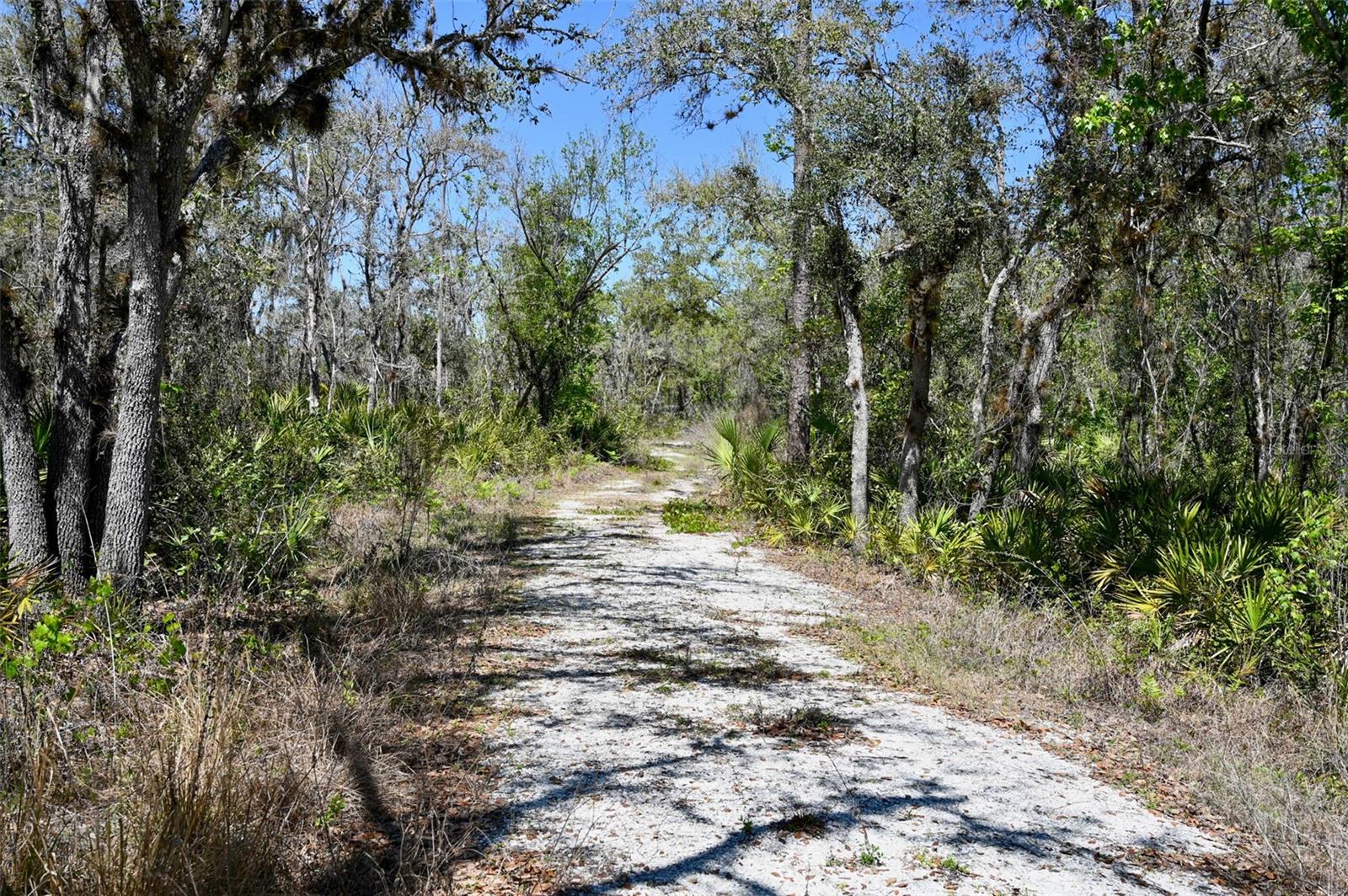 3832 SW WILDCAT RUN RD, ARCADIA, FL, 34266