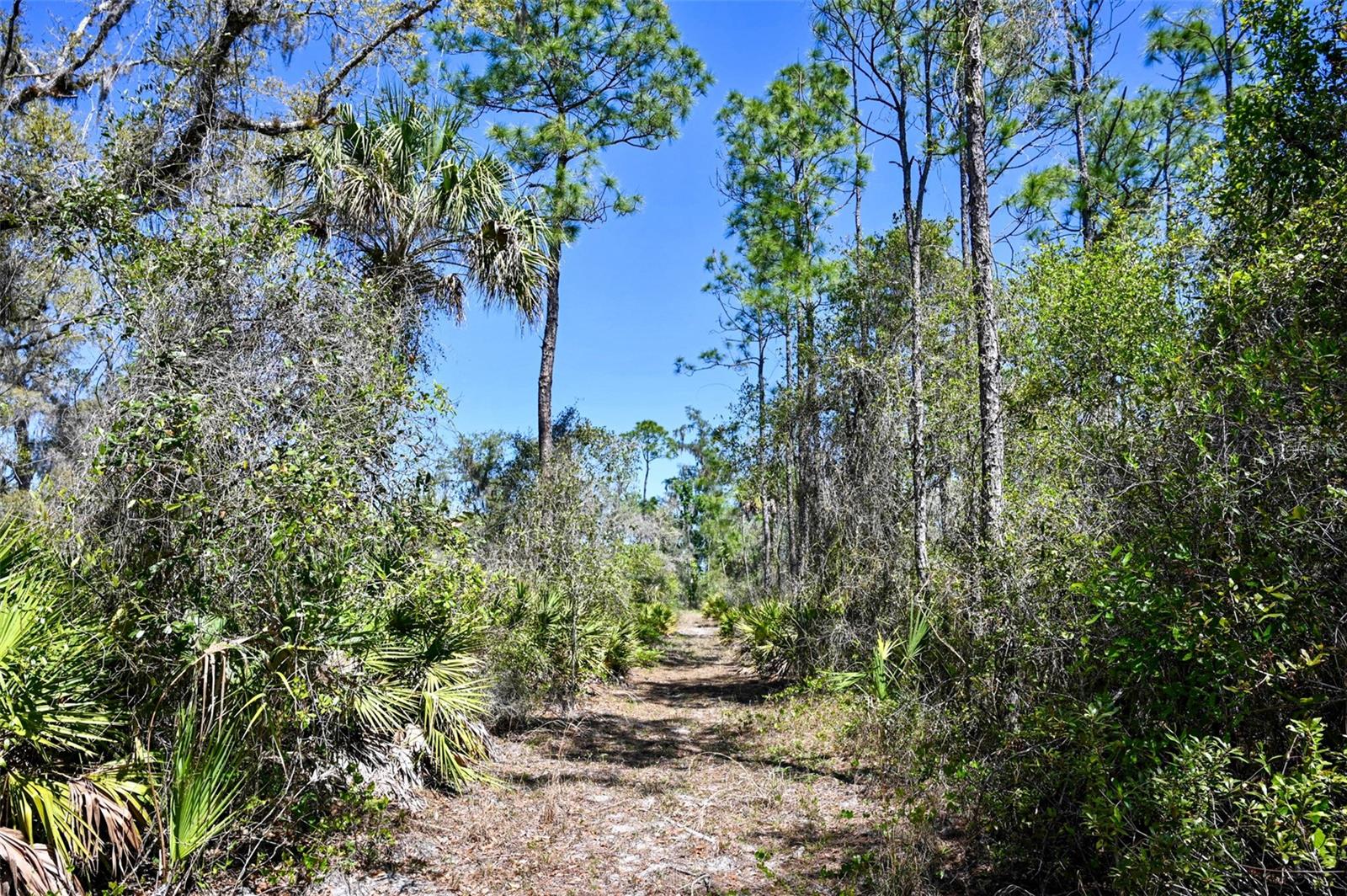 3832 SW WILDCAT RUN RD, ARCADIA, FL, 34266