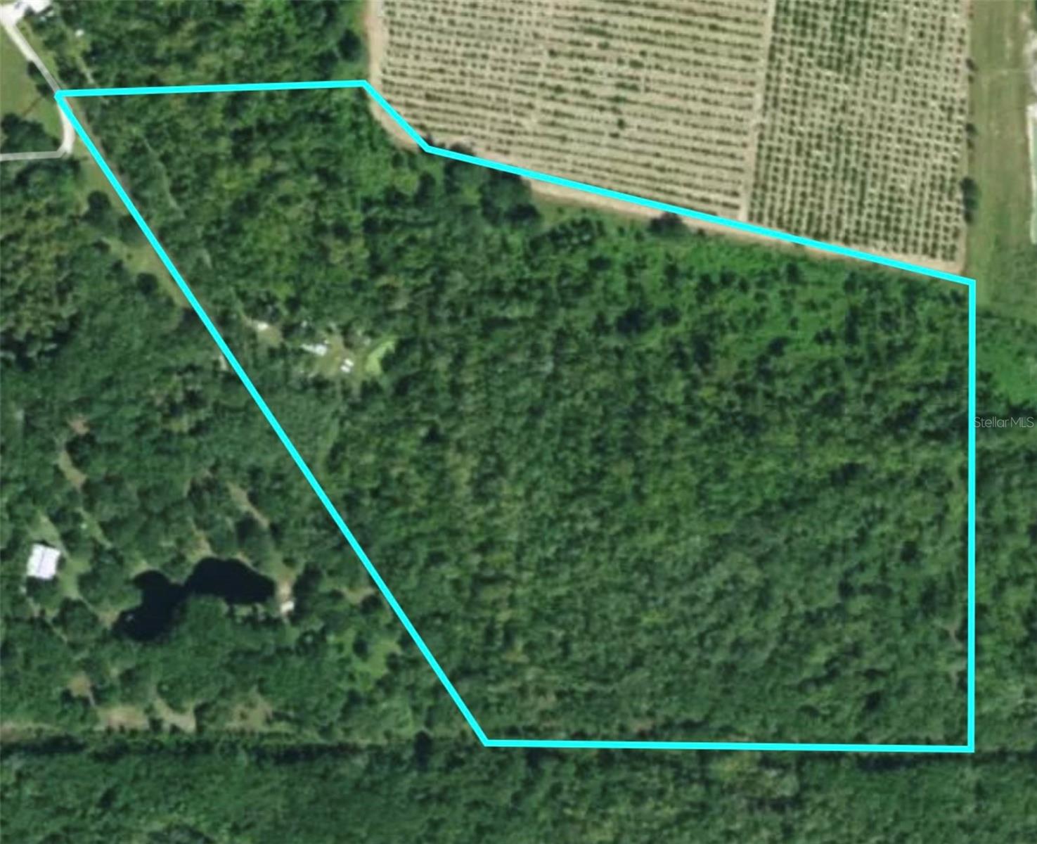 3832 SW WILDCAT RUN RD, ARCADIA, FL, 34266