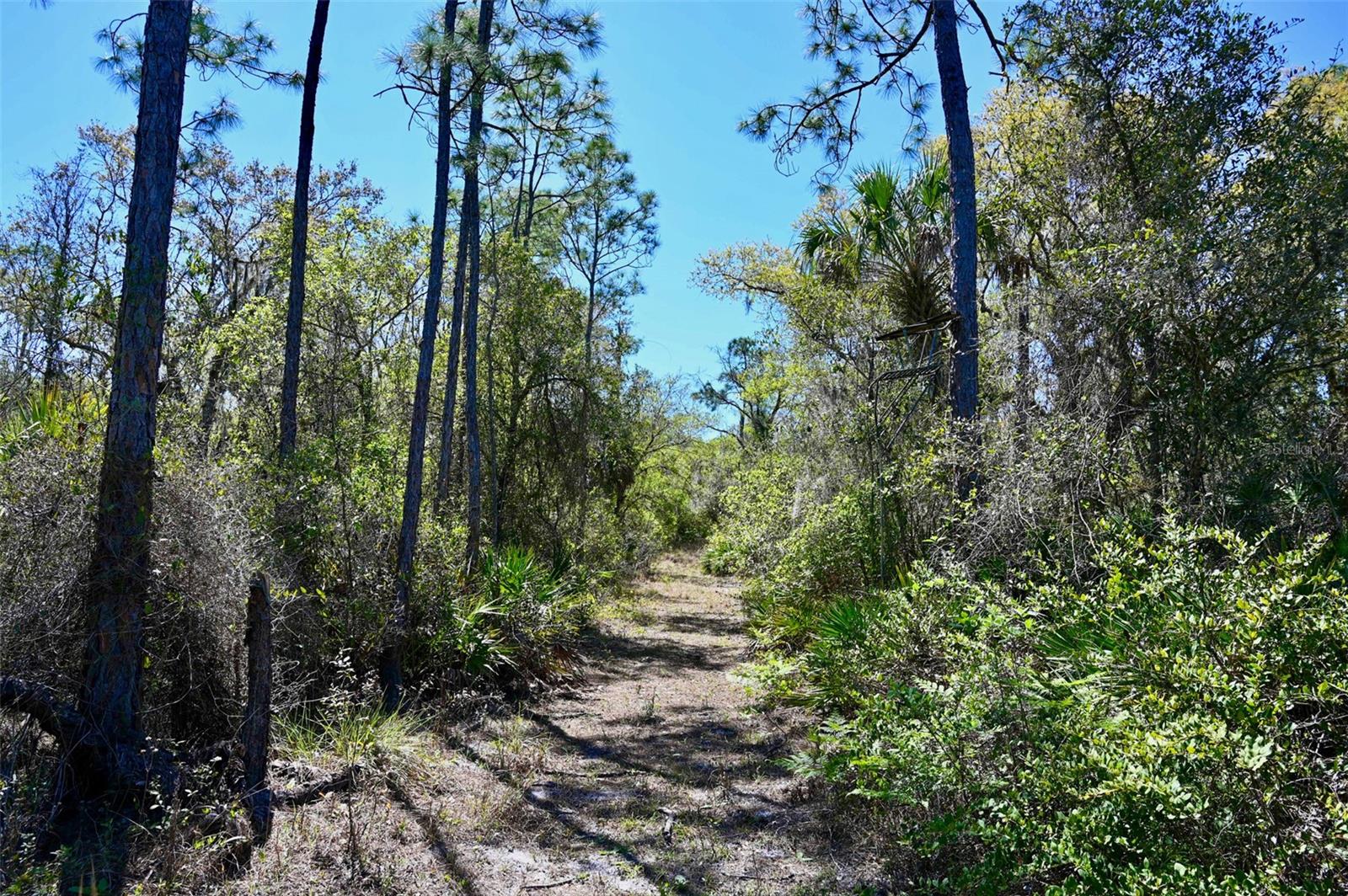 3832 SW WILDCAT RUN RD, ARCADIA, FL, 34266