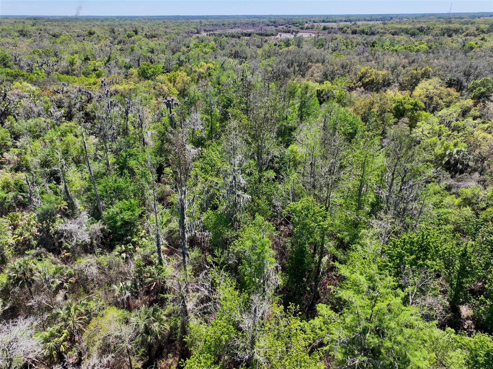 3832 SW WILDCAT RUN RD, ARCADIA, FL, 34266