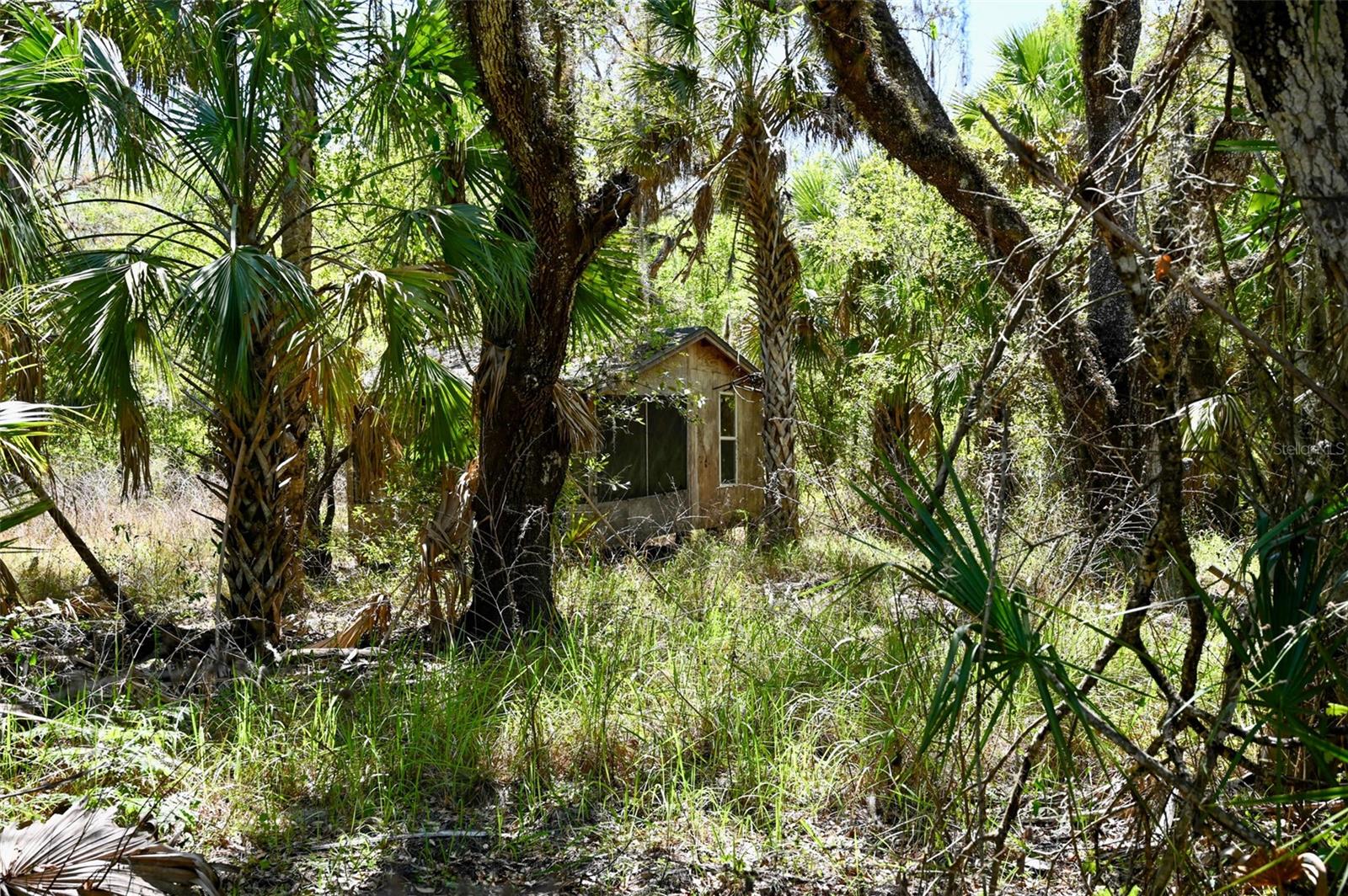 3832 SW WILDCAT RUN RD, ARCADIA, FL, 34266