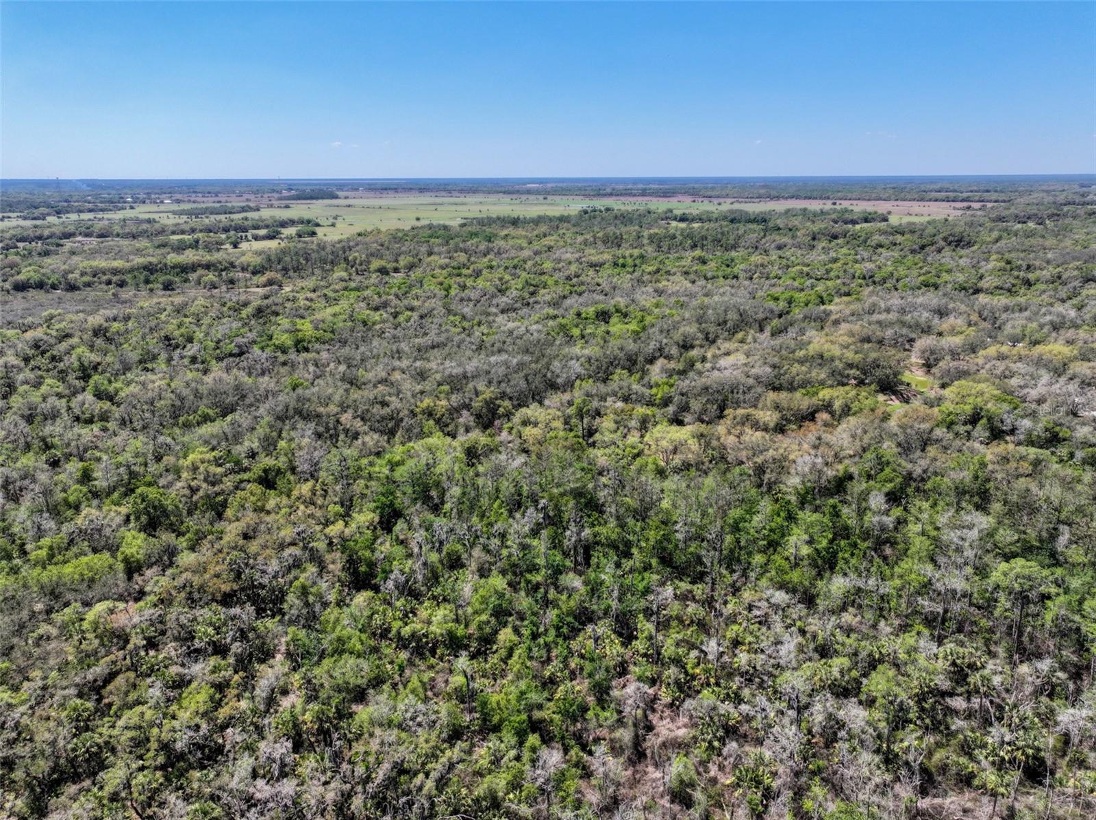3832 SW WILDCAT RUN RD, ARCADIA, FL, 34266