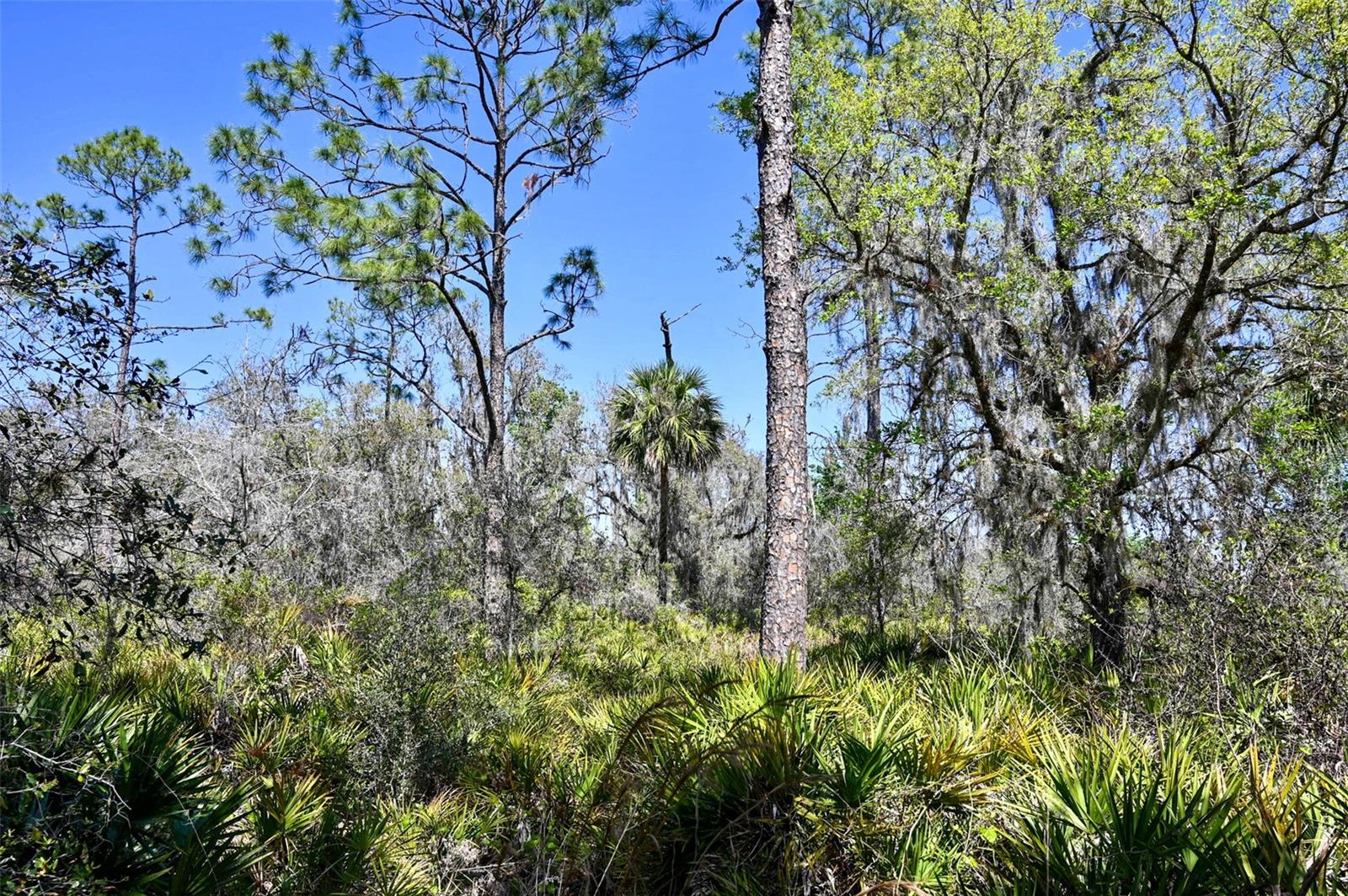 3832 SW WILDCAT RUN RD, ARCADIA, FL, 34266