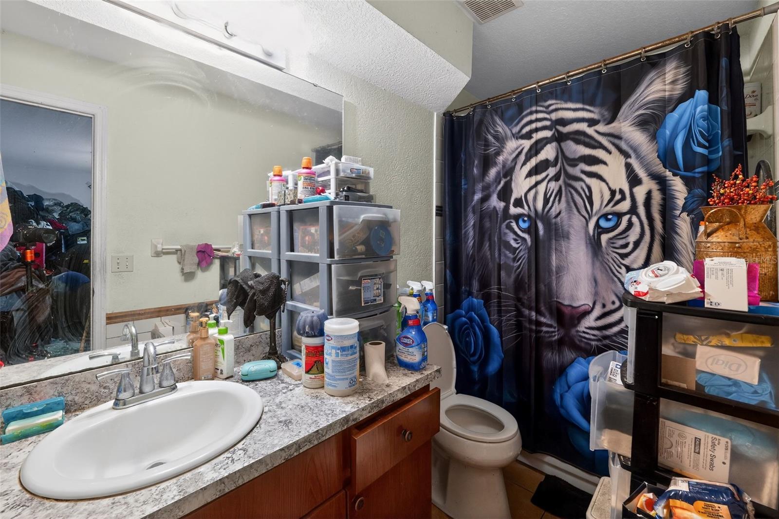829 SHIRLEY ANN TRL, LAKELAND, FL, 33809