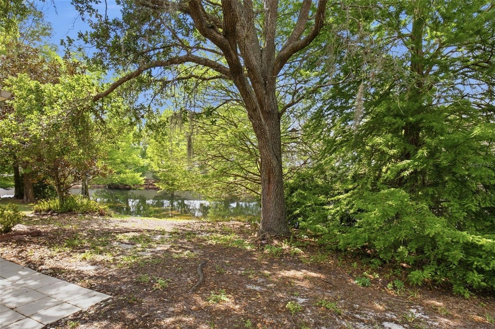 5751 AUTUMN SHIRE DR, ZEPHYRHILLS, FL, 33541