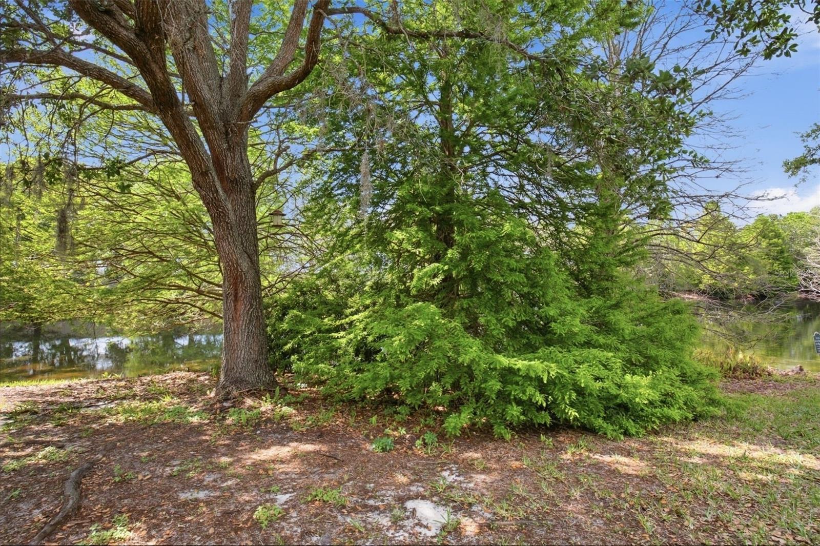 5751 AUTUMN SHIRE DR, ZEPHYRHILLS, FL, 33541