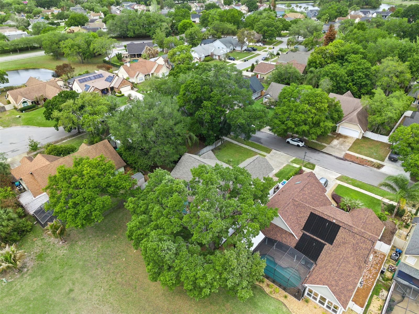 12406 HARNEY DR, ORLANDO, FL, 32828