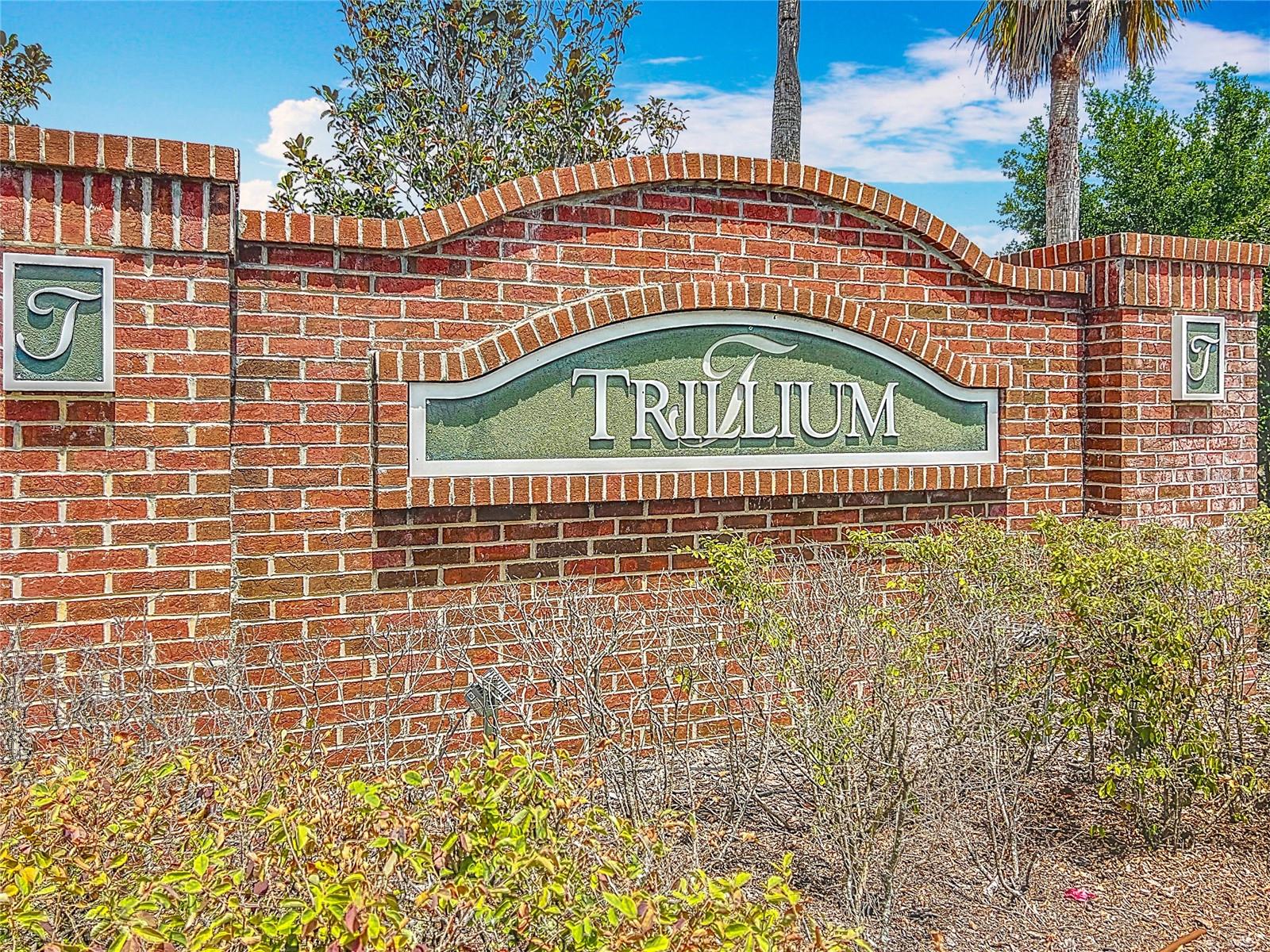 647 ALPINE THISTLE DR, BROOKSVILLE, FL, 34604