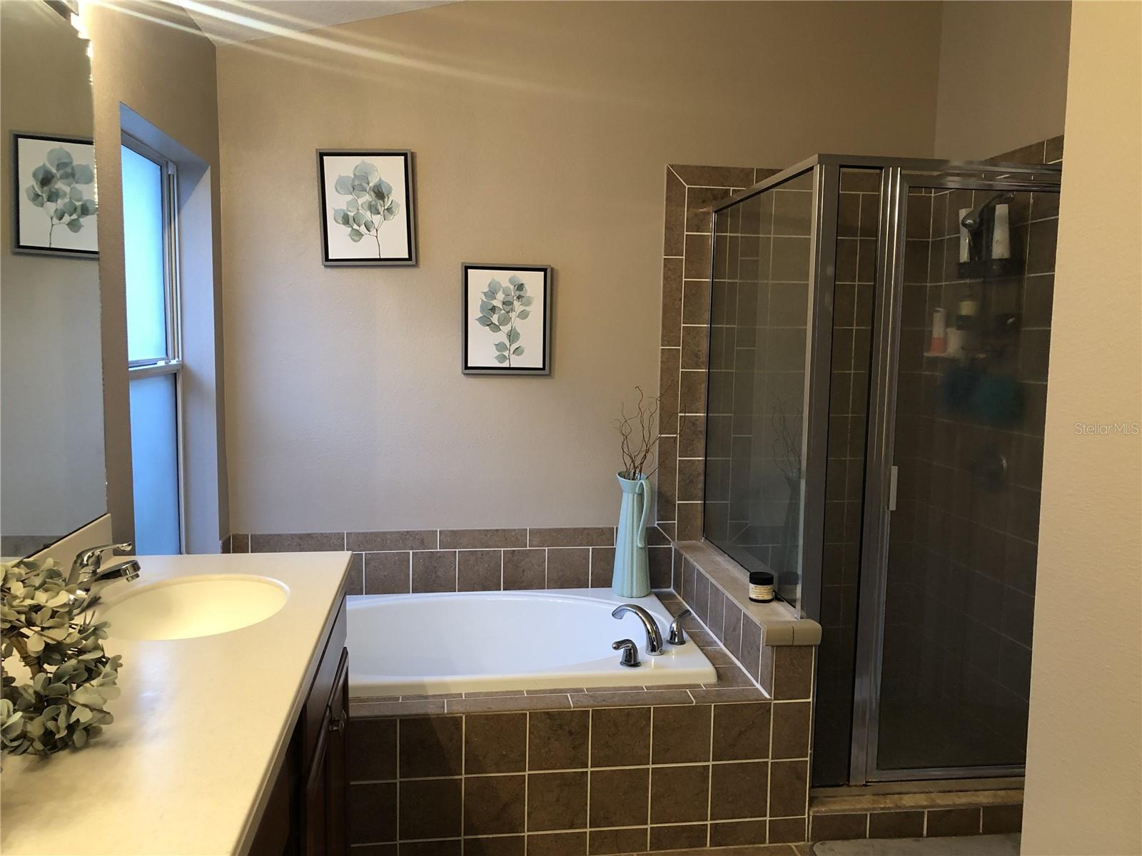 10121 COLDWATER LOOP, LAND O LAKES, FL, 34638
