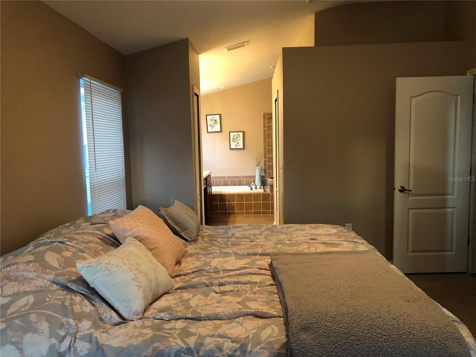 10121 COLDWATER LOOP, LAND O LAKES, FL, 34638