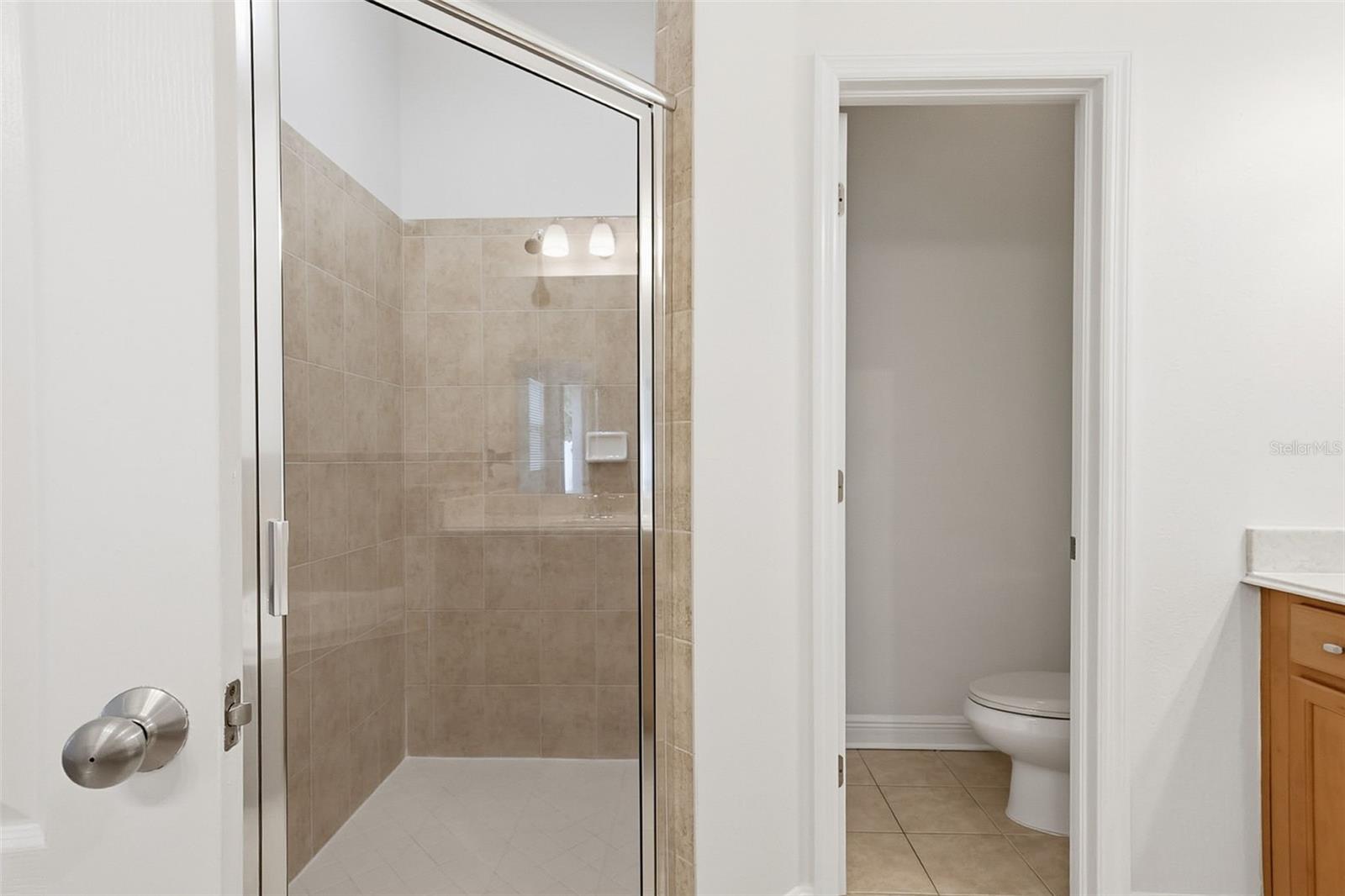 7550 BULLS HEAD DR, WESLEY CHAPEL, FL, 33545