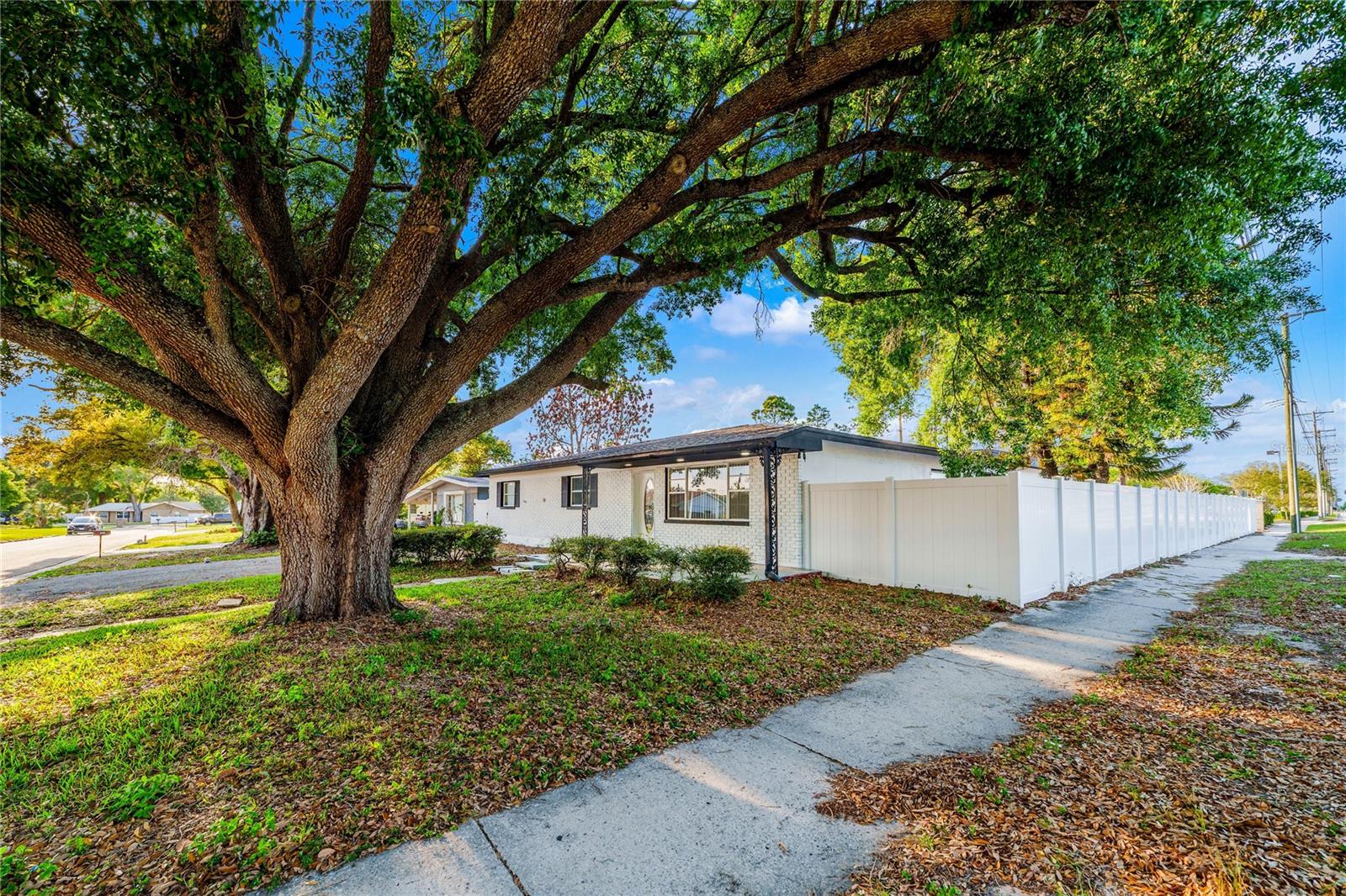 545 N TERRACE DR, BRANDON, FL, 33510