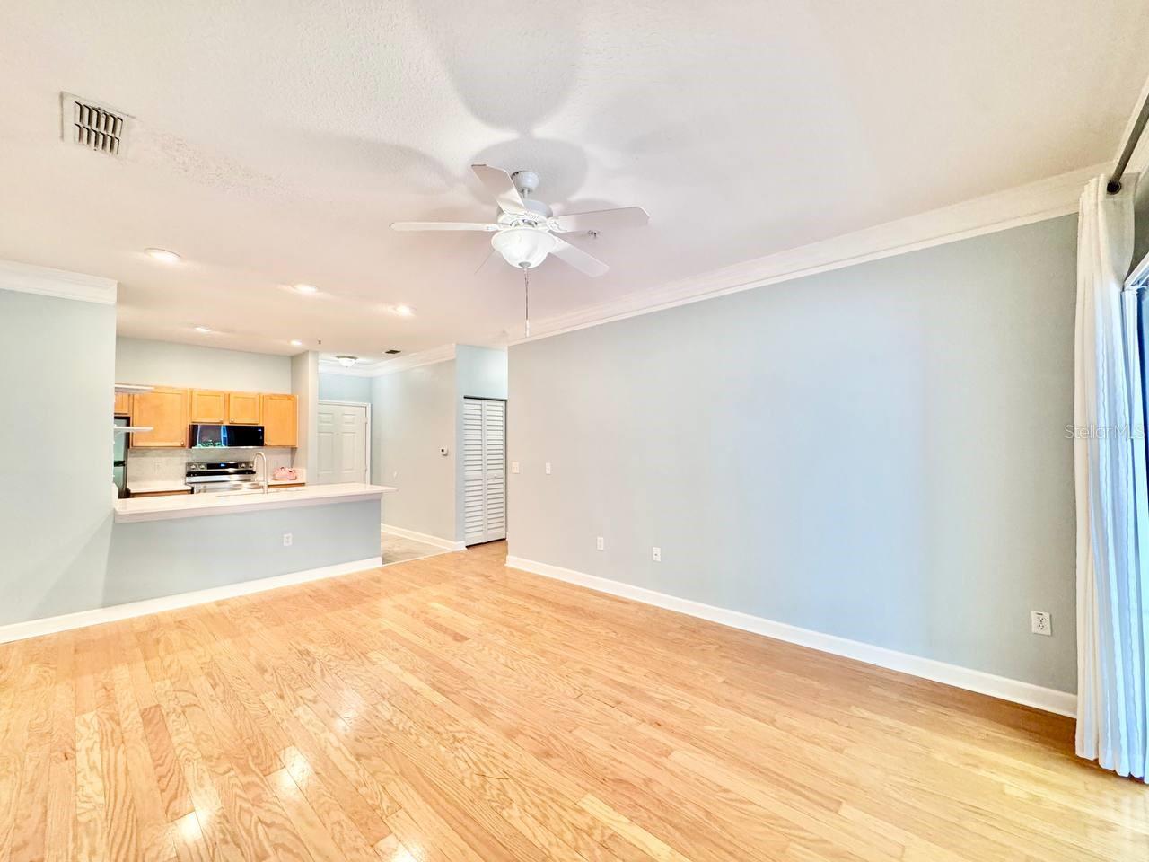 4207 S DALE MABRY HWY #11102, TAMPA, FL, 33611