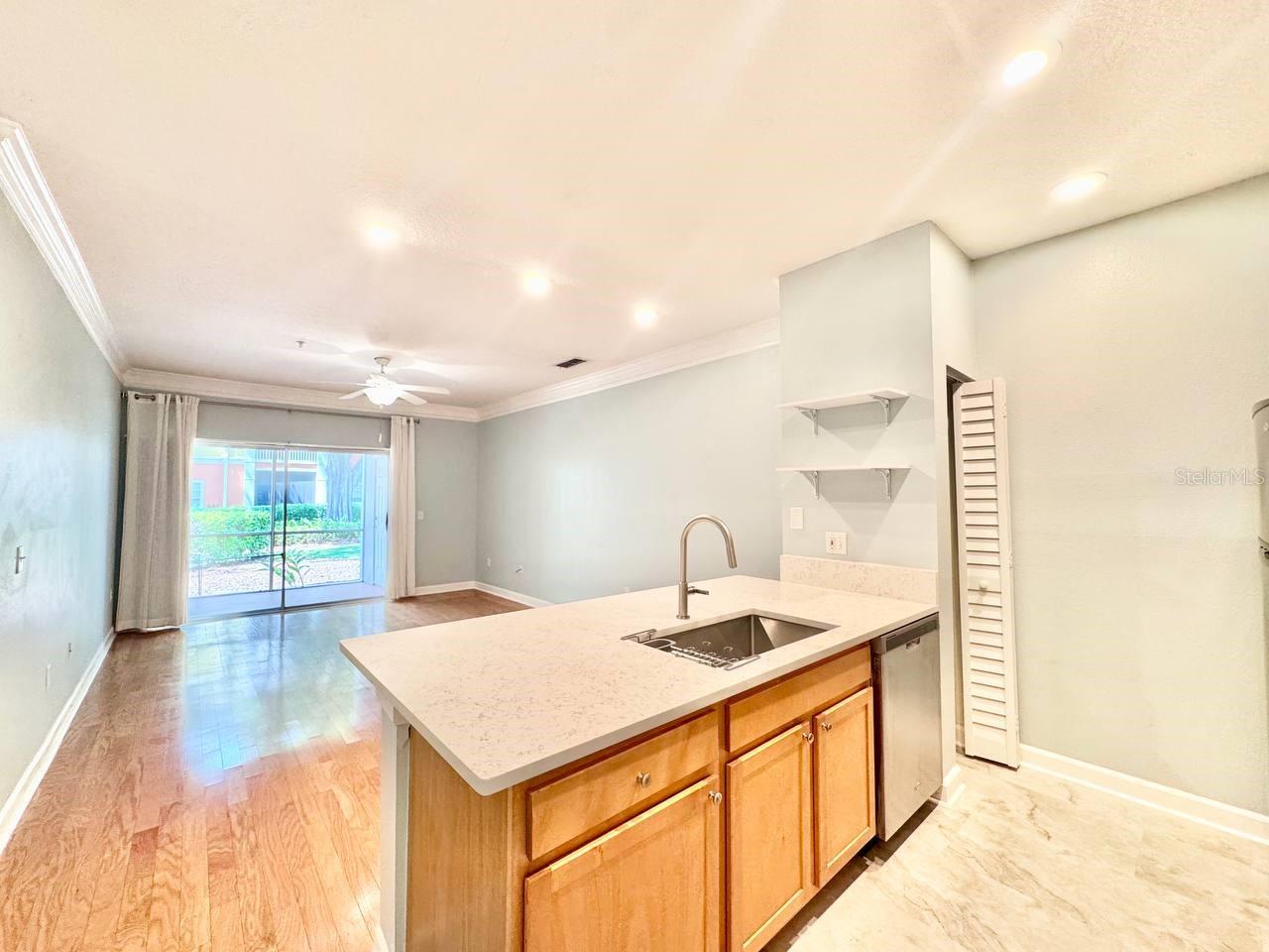 4207 S DALE MABRY HWY #11102, TAMPA, FL, 33611