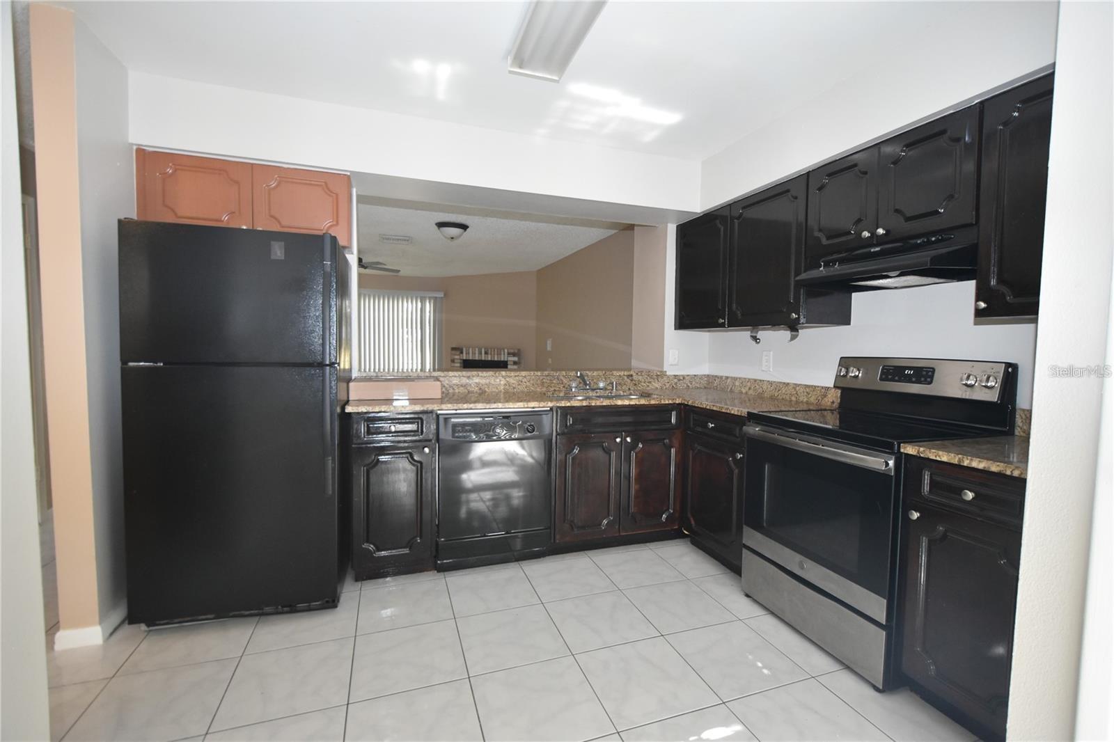 13908 FLETCHERS MILL DR, TAMPA, FL, 33613