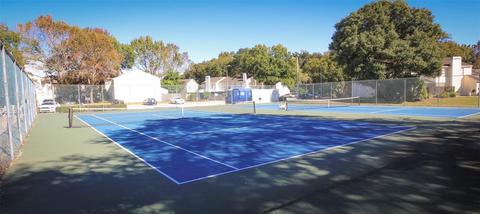 13908 FLETCHERS MILL DR, TAMPA, FL, 33613