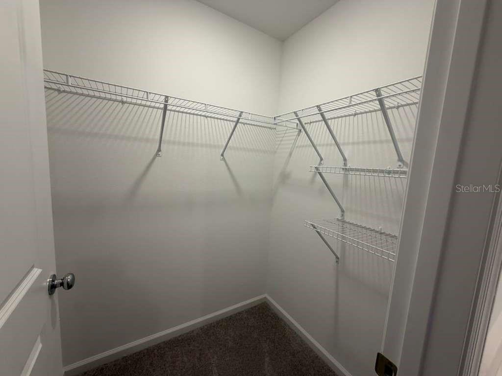 7194 SW 91ST LN, OCALA, FL, 34476