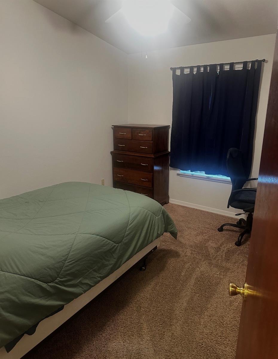 2360 SW ARCHER RD #509, GAINESVILLE, FL, 32608