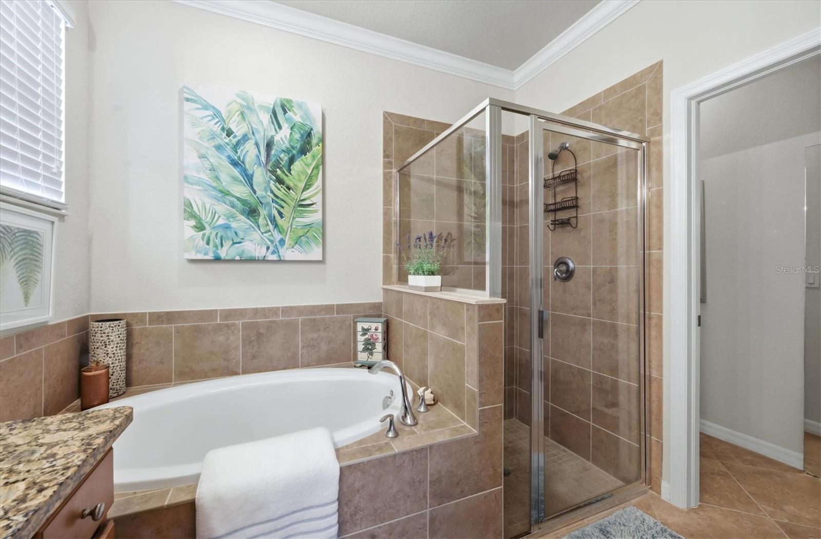12284 CANAVESE LN, VENICE, FL, 34293