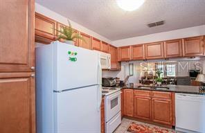 1393 CADHAY CT, SAFETY HARBOR, FL, 34695