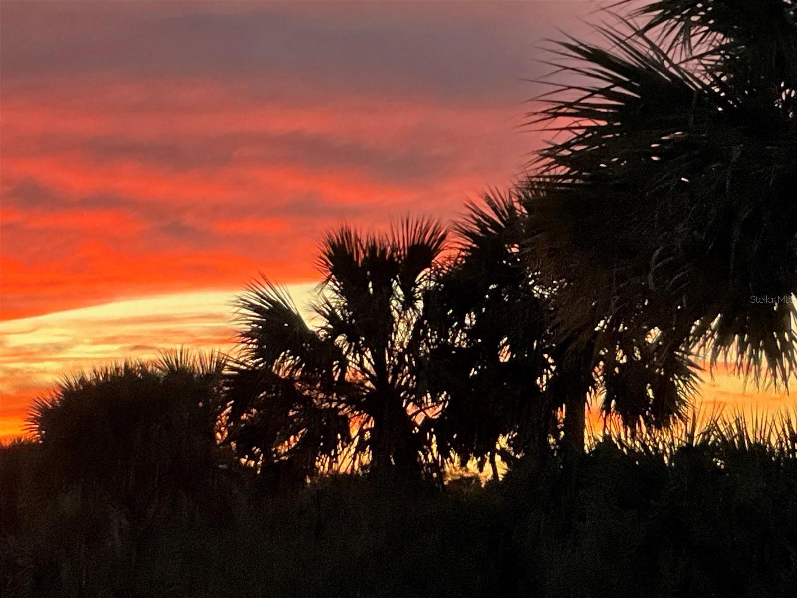 3162 N OCEAN SHORE BLVD, FLAGLER BEACH, FL, 32136