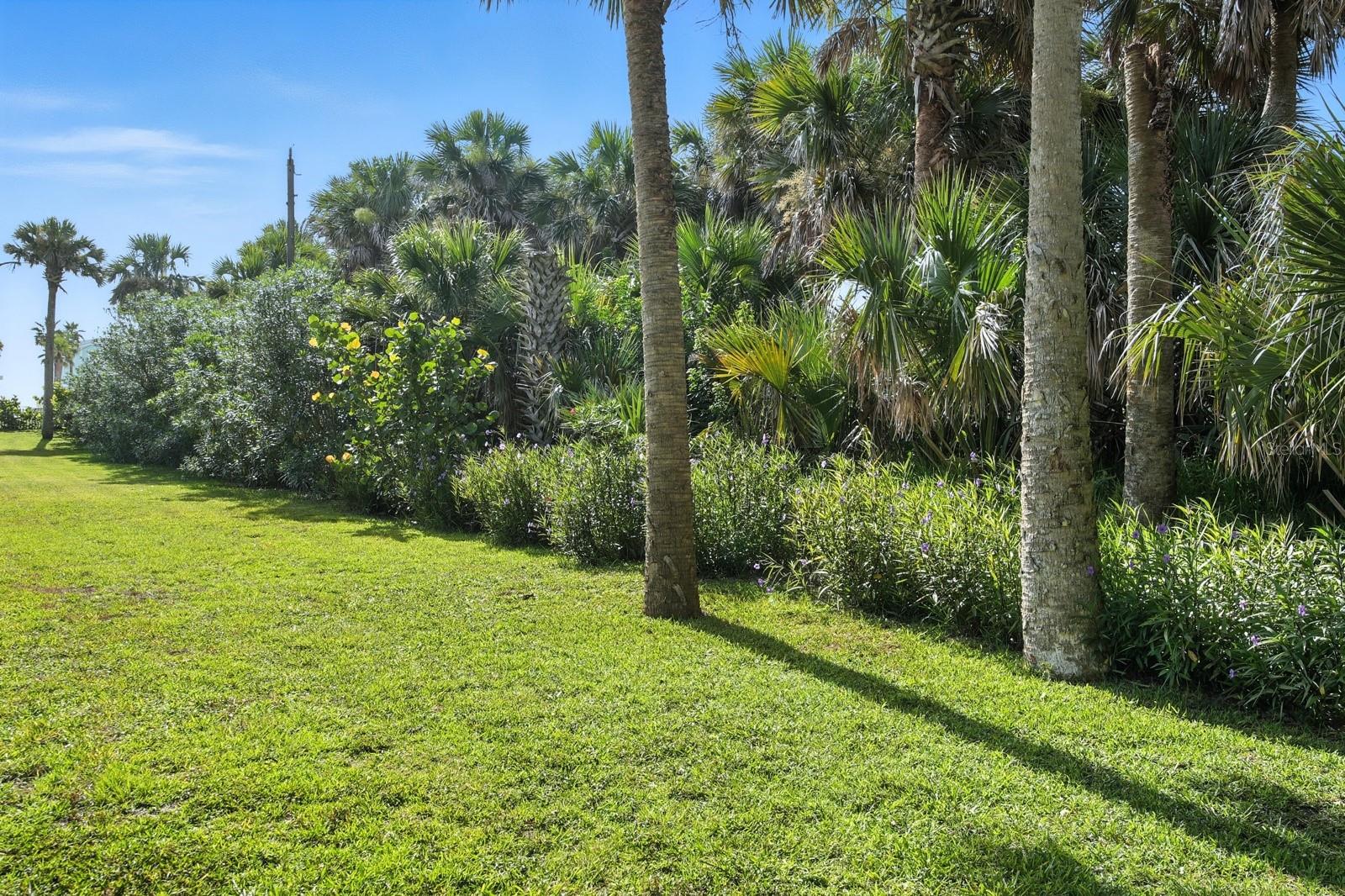 3162 N OCEAN SHORE BLVD, FLAGLER BEACH, FL, 32136